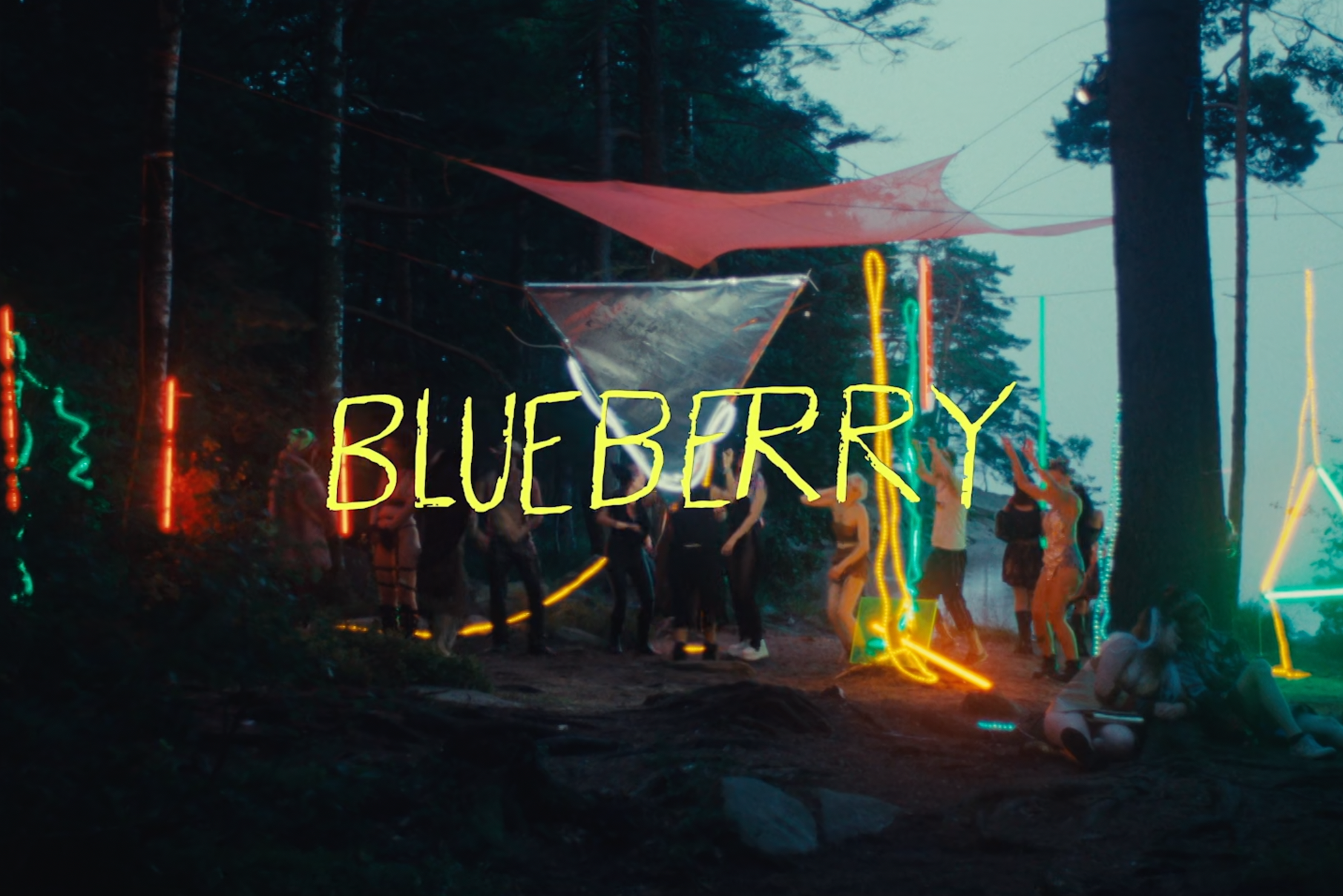 Blueberry. Short Film
