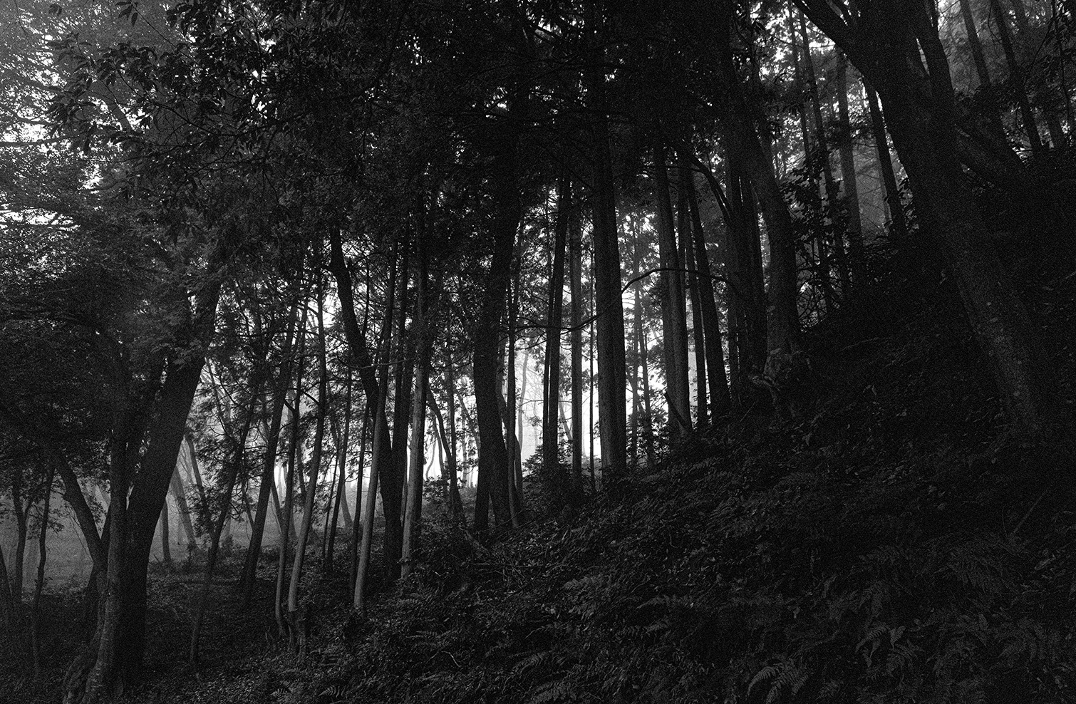 PHOTOGRAPHY RAF STUDIO at  VILLA KUJOYAMA