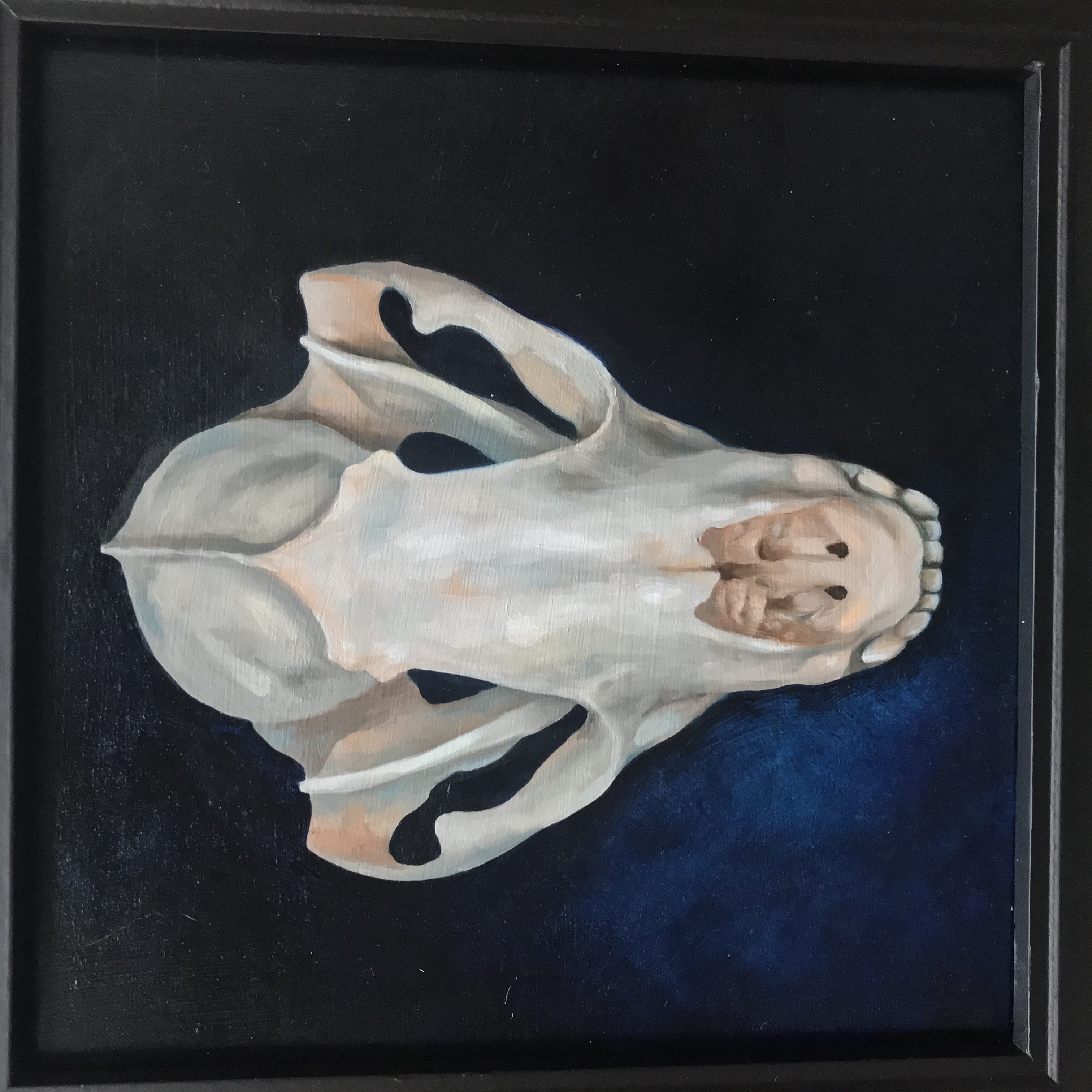 Blue Skull (Raccoon), 8”x10”, Oil on Masonite