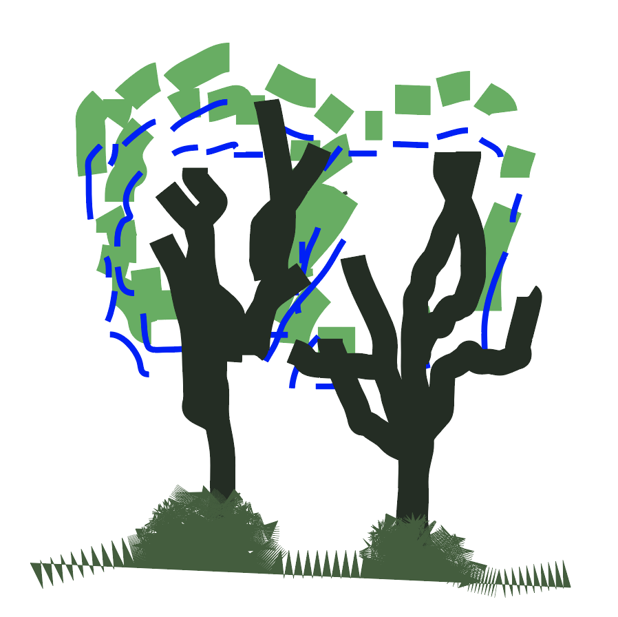 「 2 Trees in the Park 」