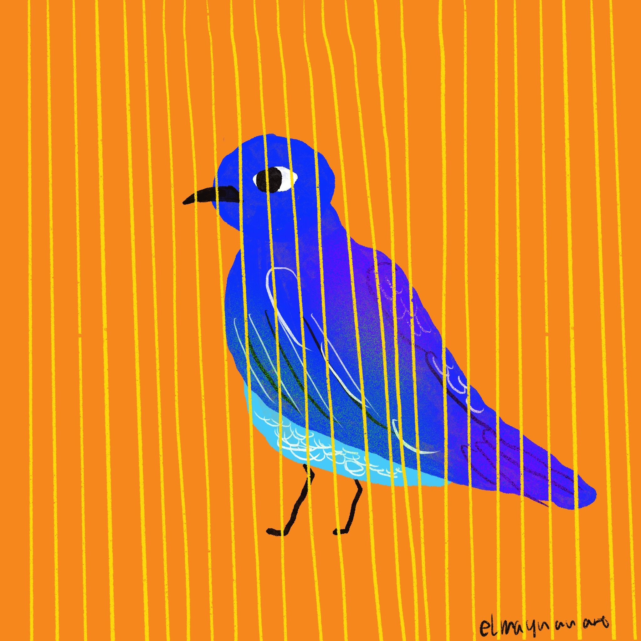 Dream of a blue bird trapped in a cage.