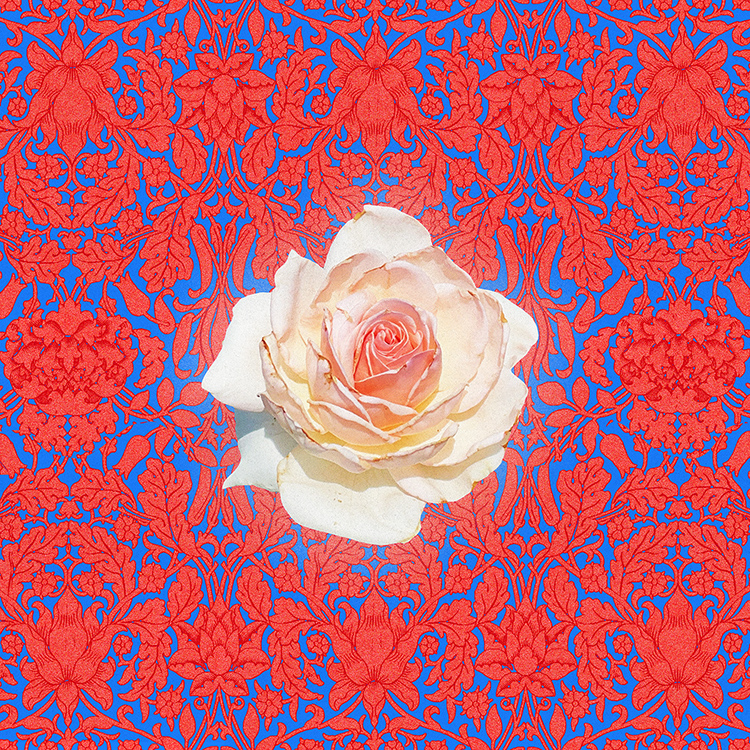 330. the new you 25.01.25