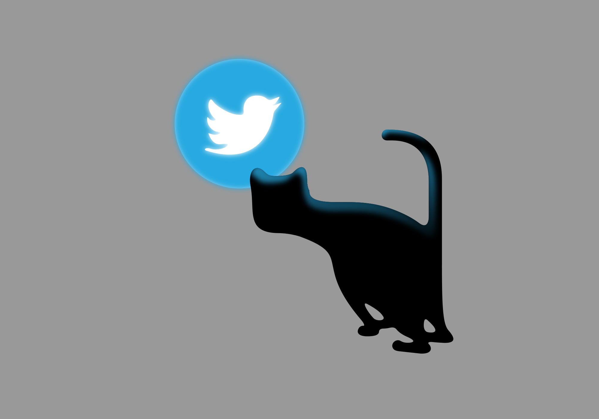 why-are-cats-invading-the-internet-rompo