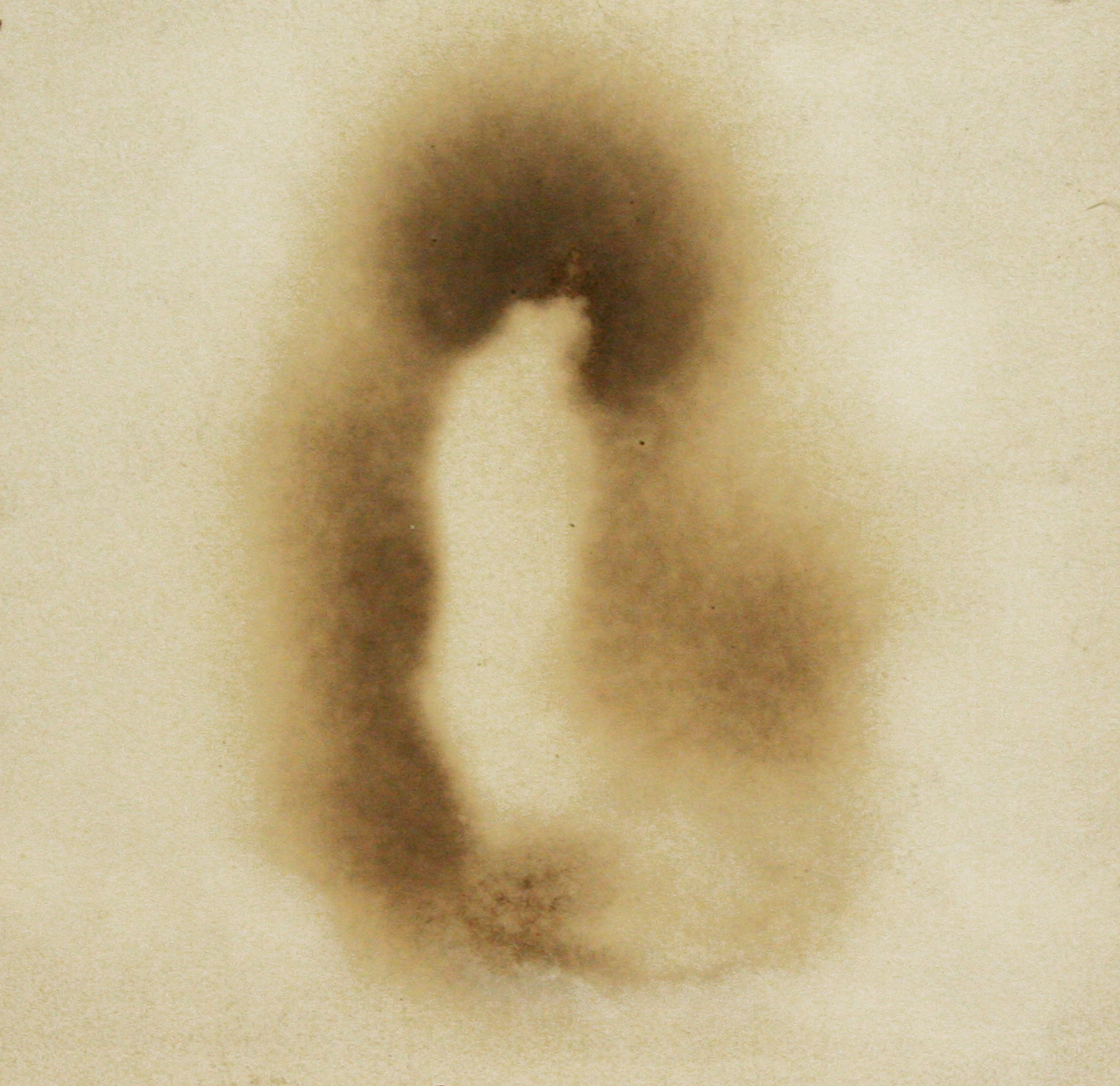 Veritas (Detail)(50 x 120 cm)