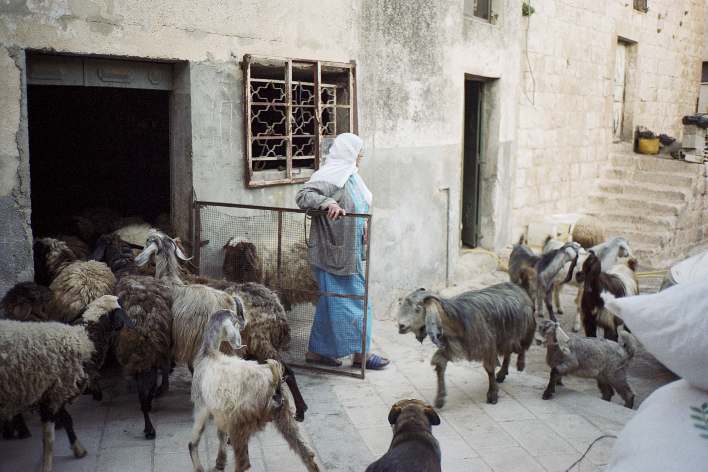 Asira al Shamaliya, Palestine, 2019