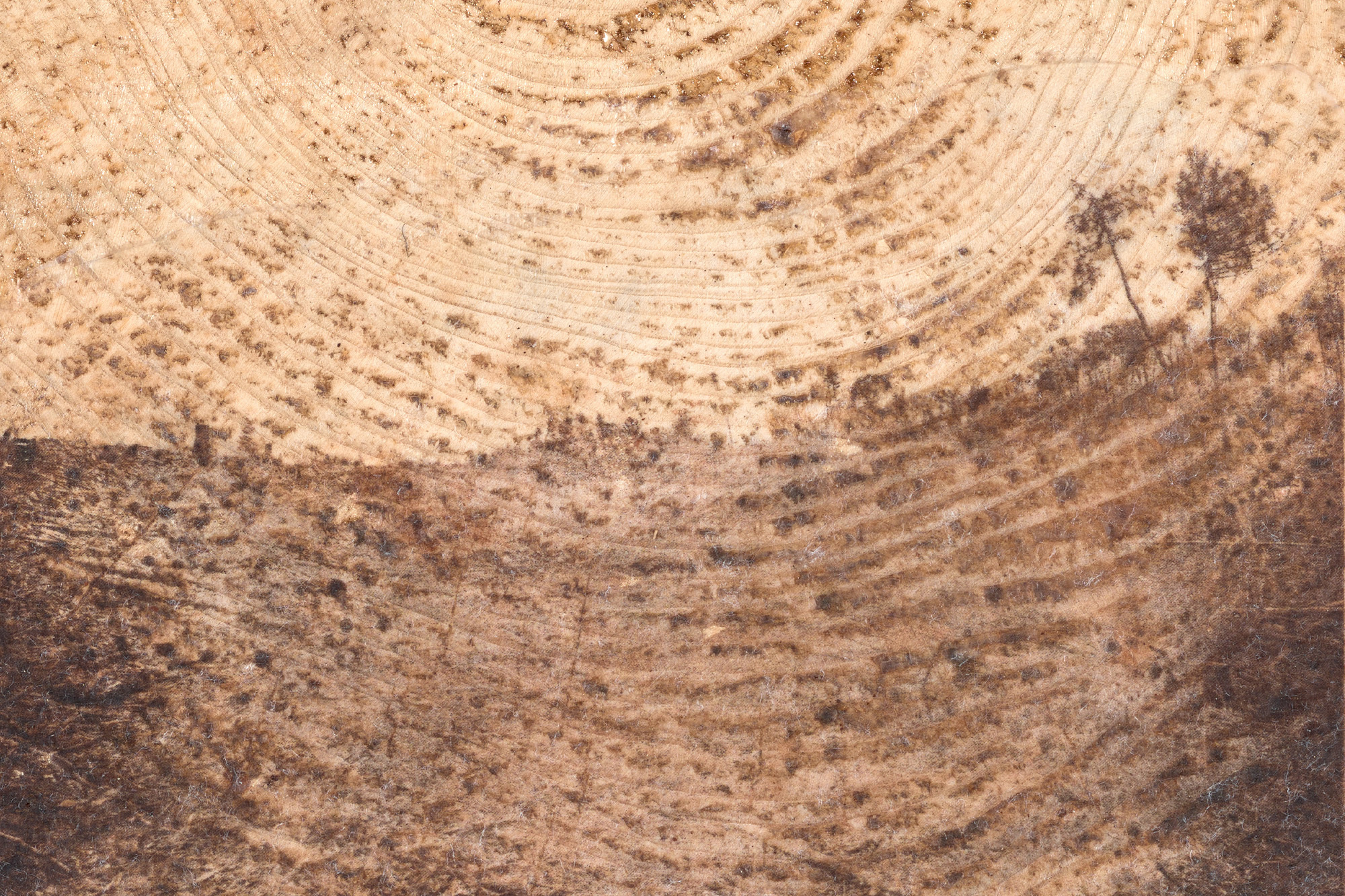 als sich nichts auftat