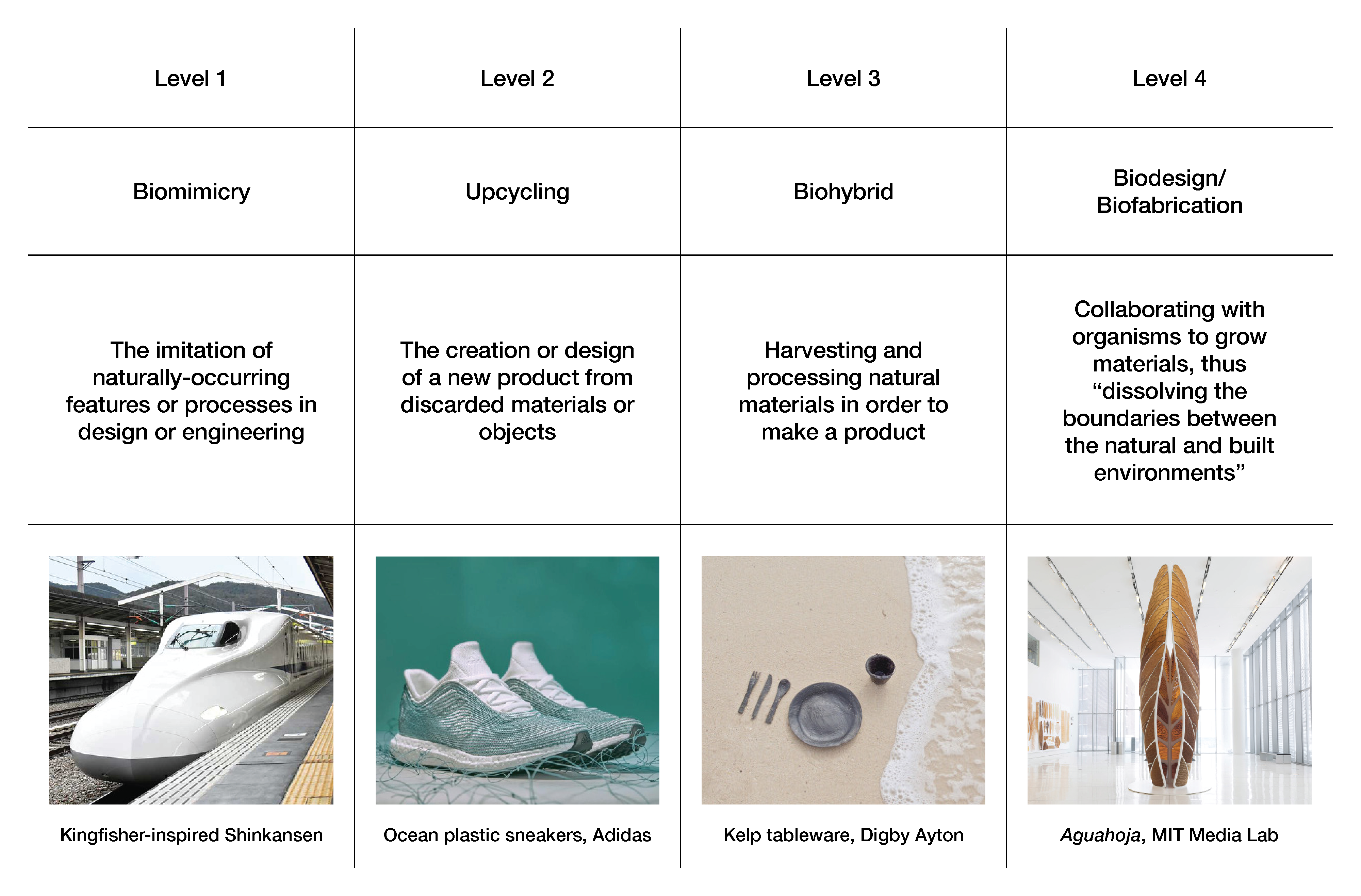 The Levels of Ecological Design (inspired by Hans Rosling's Four Levels of Income)