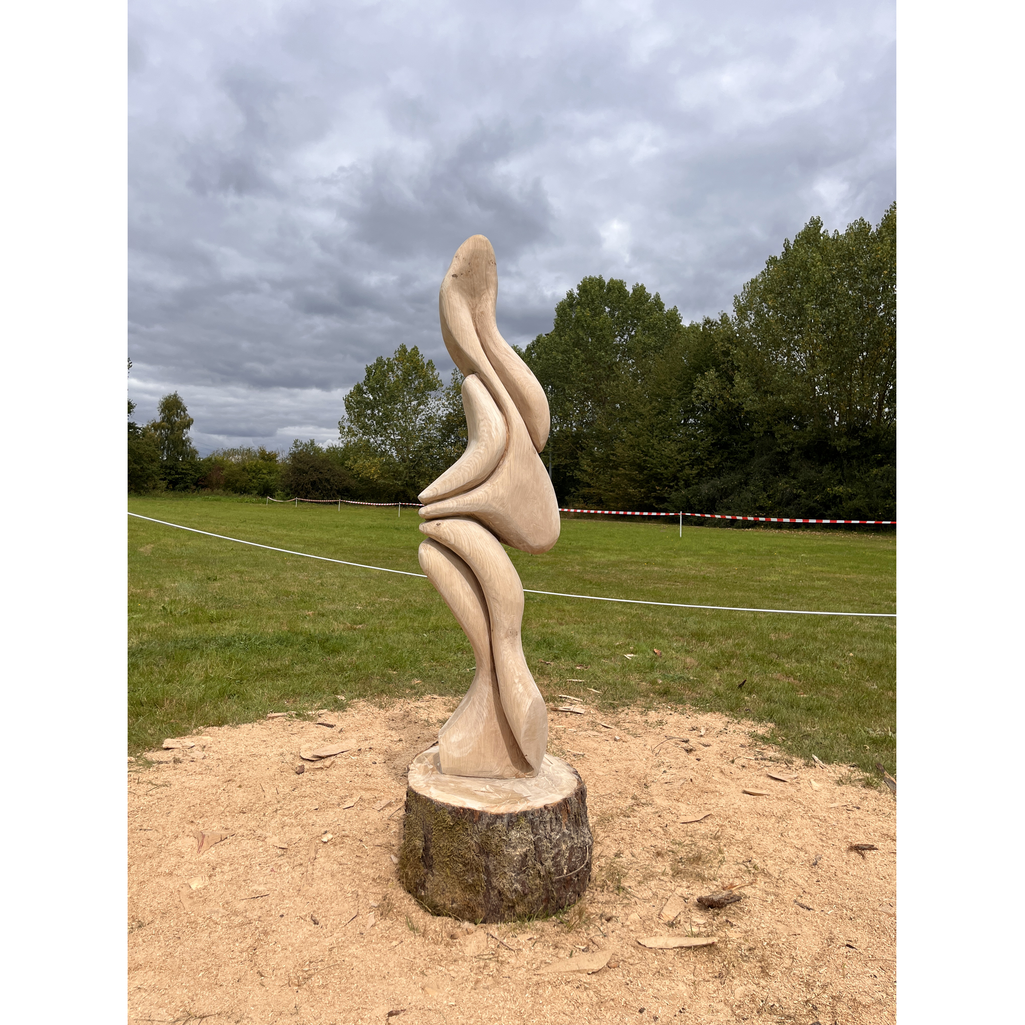 2025/Form in Flux/Wood