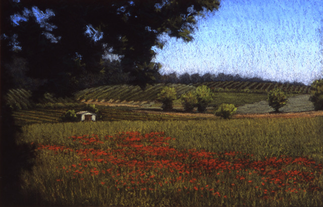 P1.17 - Tuscan poppies