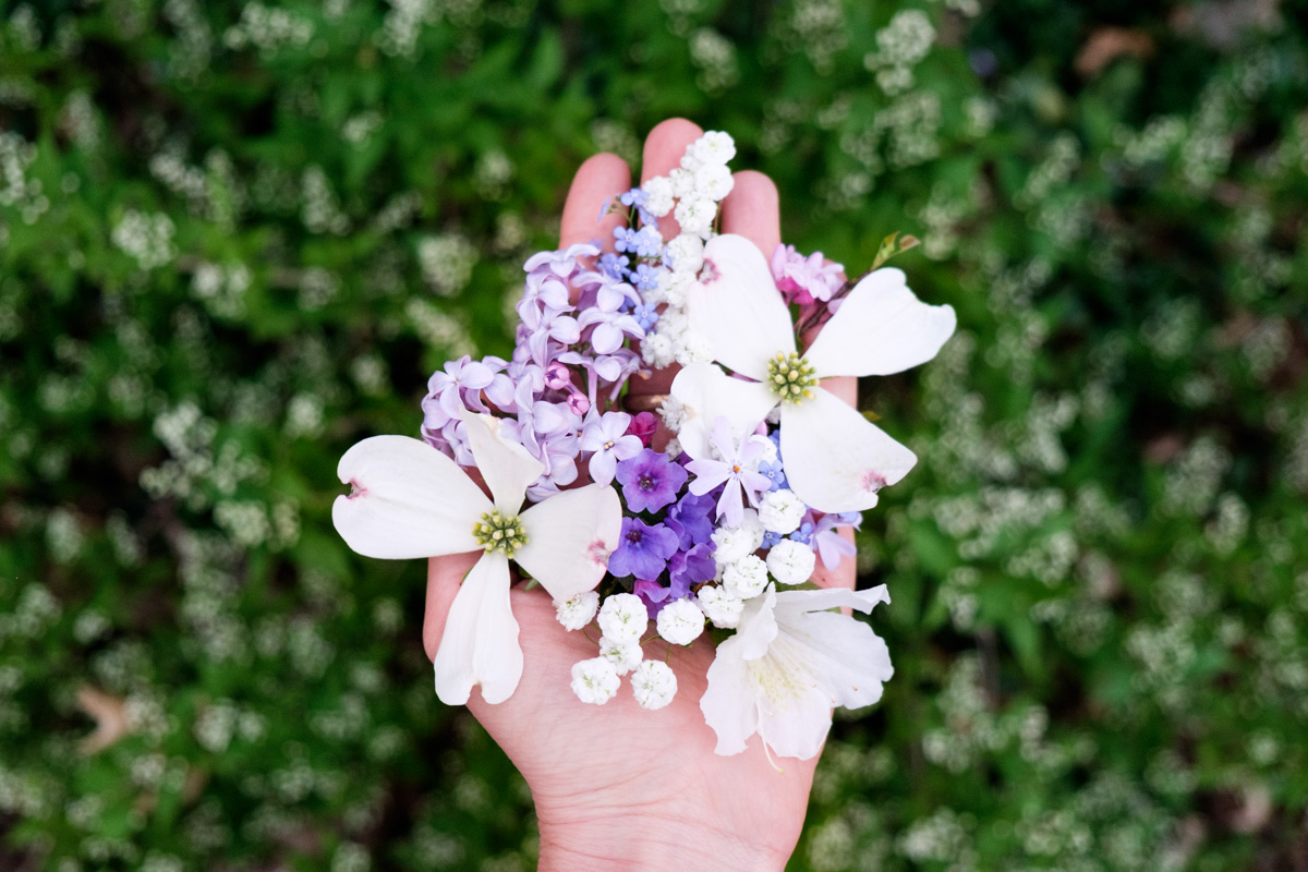 hand bouquets — Fine art photography prints & visual storytelling ...