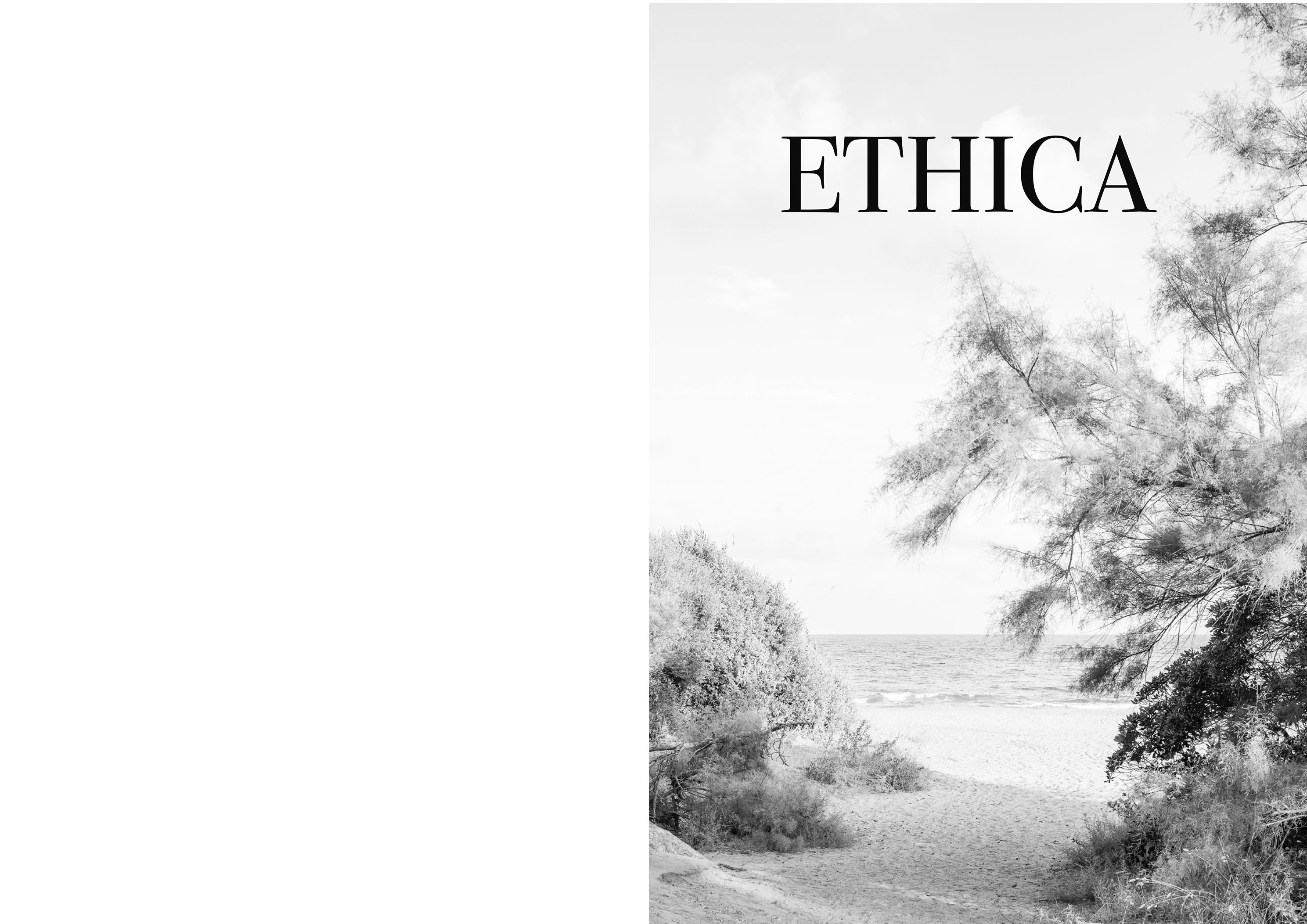 ETHICA Luca Nicolao Hors d’oeuvres Edition, Grenoble 2021