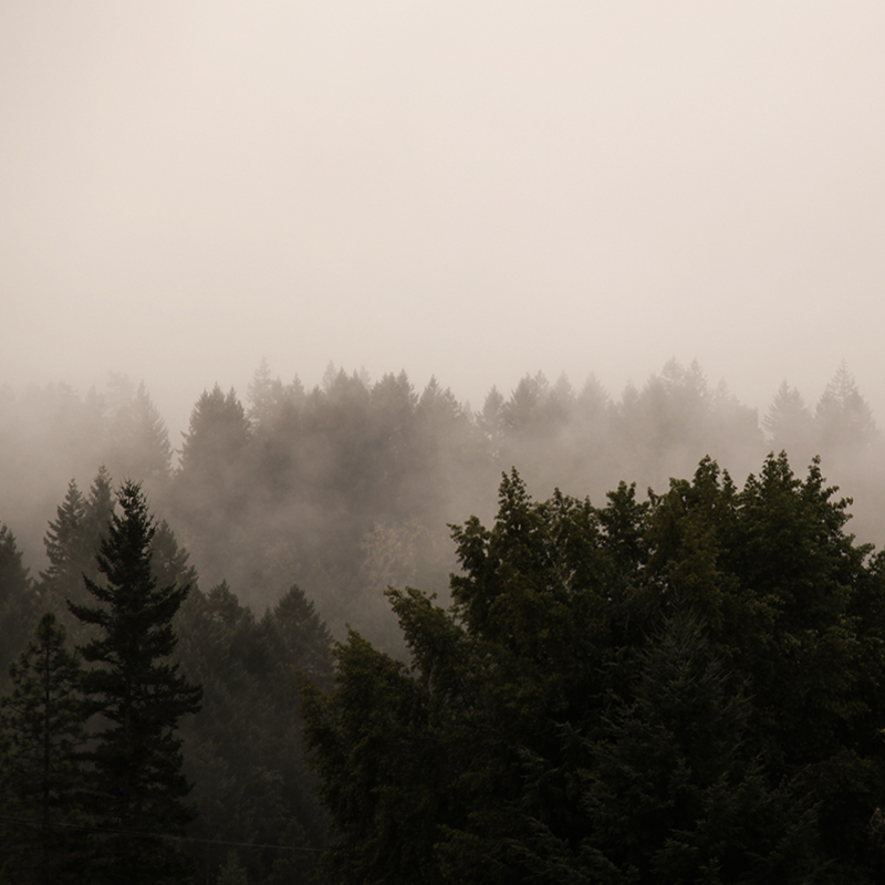 transience #47 with Lou Drago and Demetrio Cecchitelli