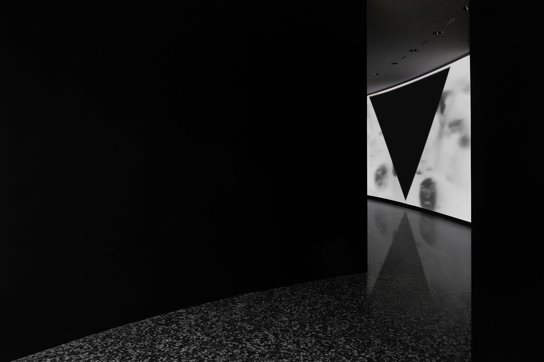 ● Entrance into video room / Photos by Peio Erroteta / Adam Pendleton: Love, Queen / Frederick Tang Architecture / Role: Project Manager / New York, NY (2022-2025)