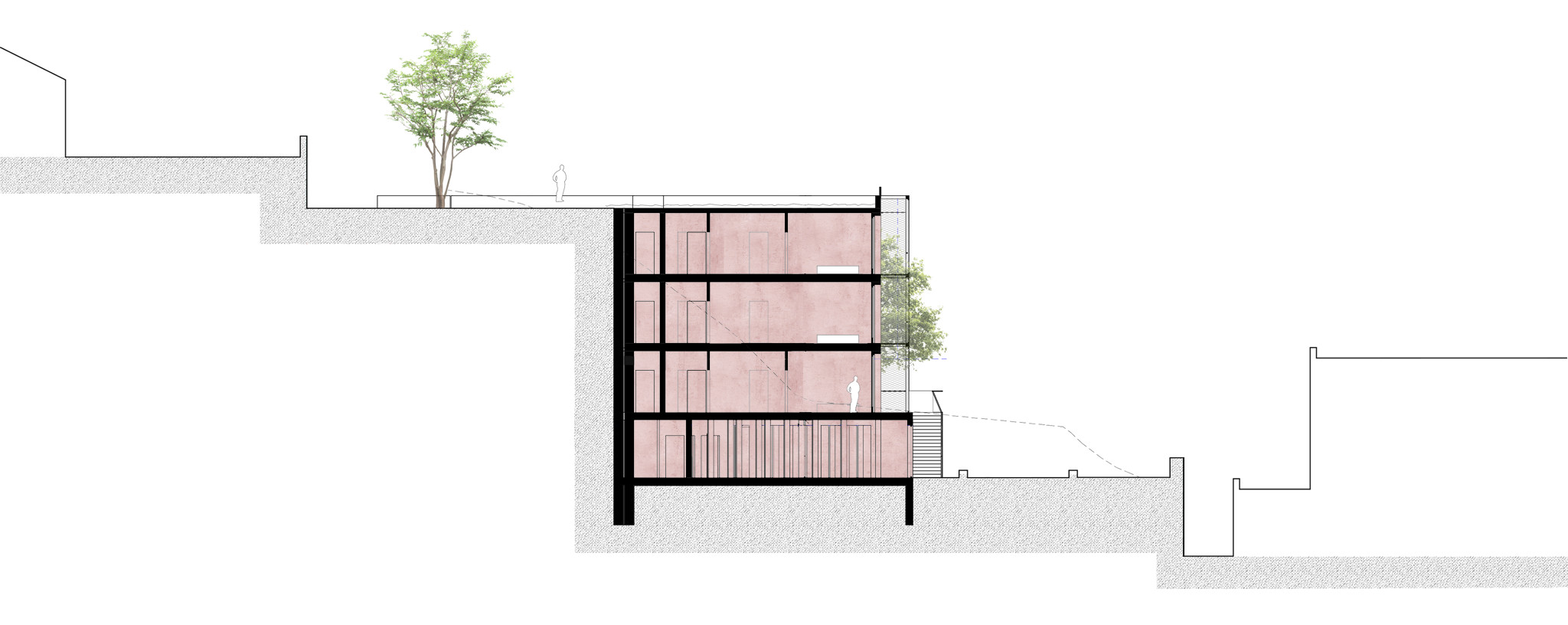 Schnitt section © MARS Architekten