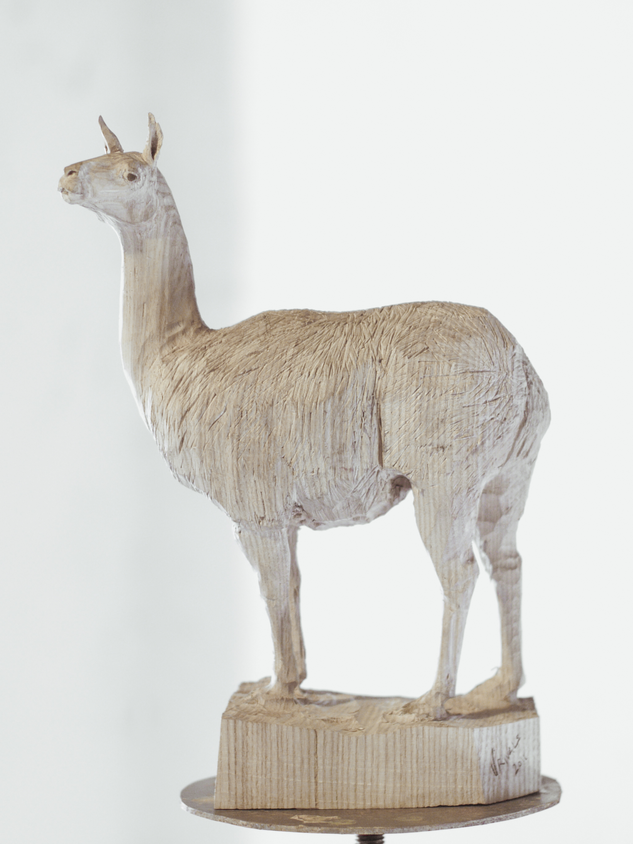 fr&ecirc;ne | h. 39 cm