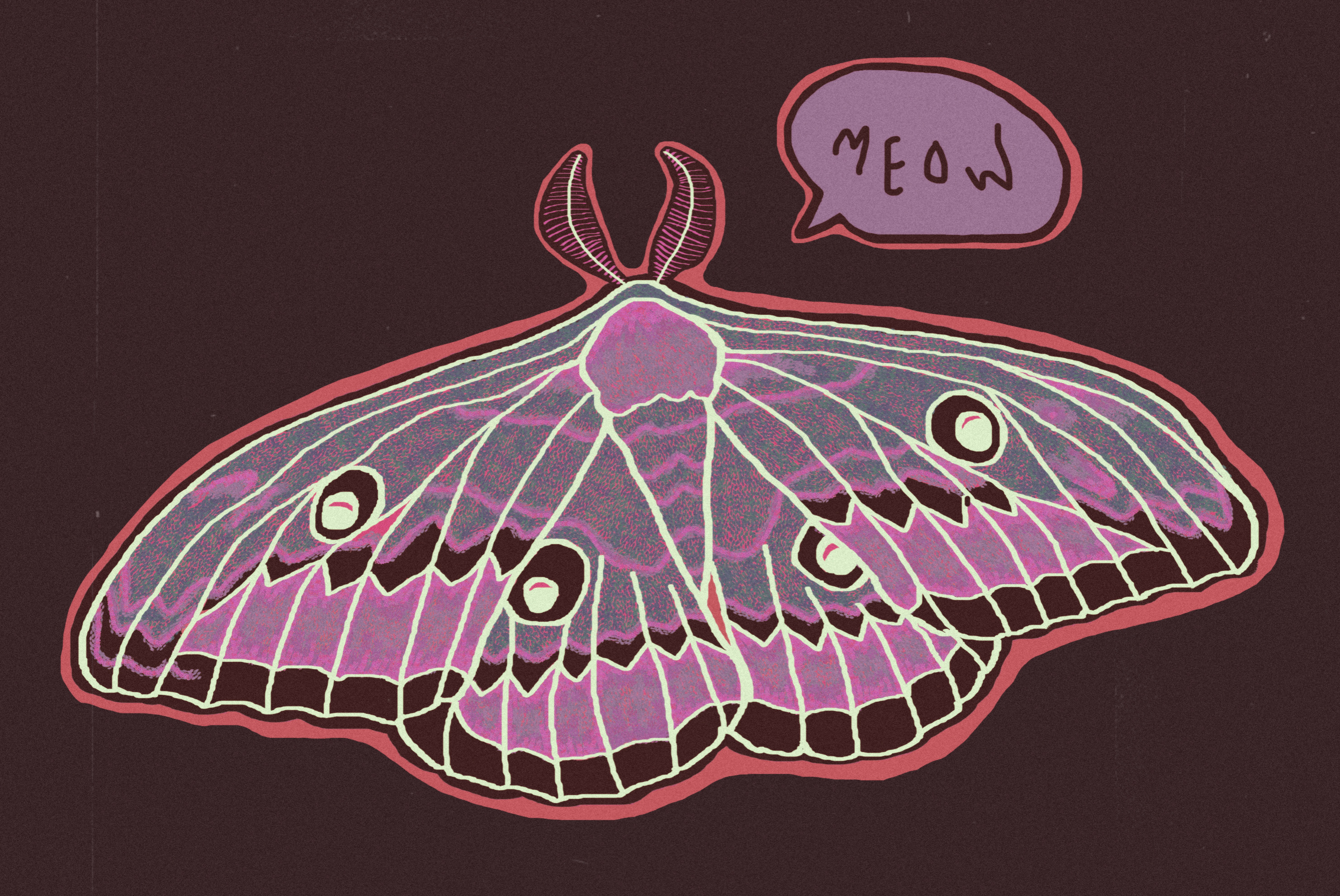 meow | 2022 | digital