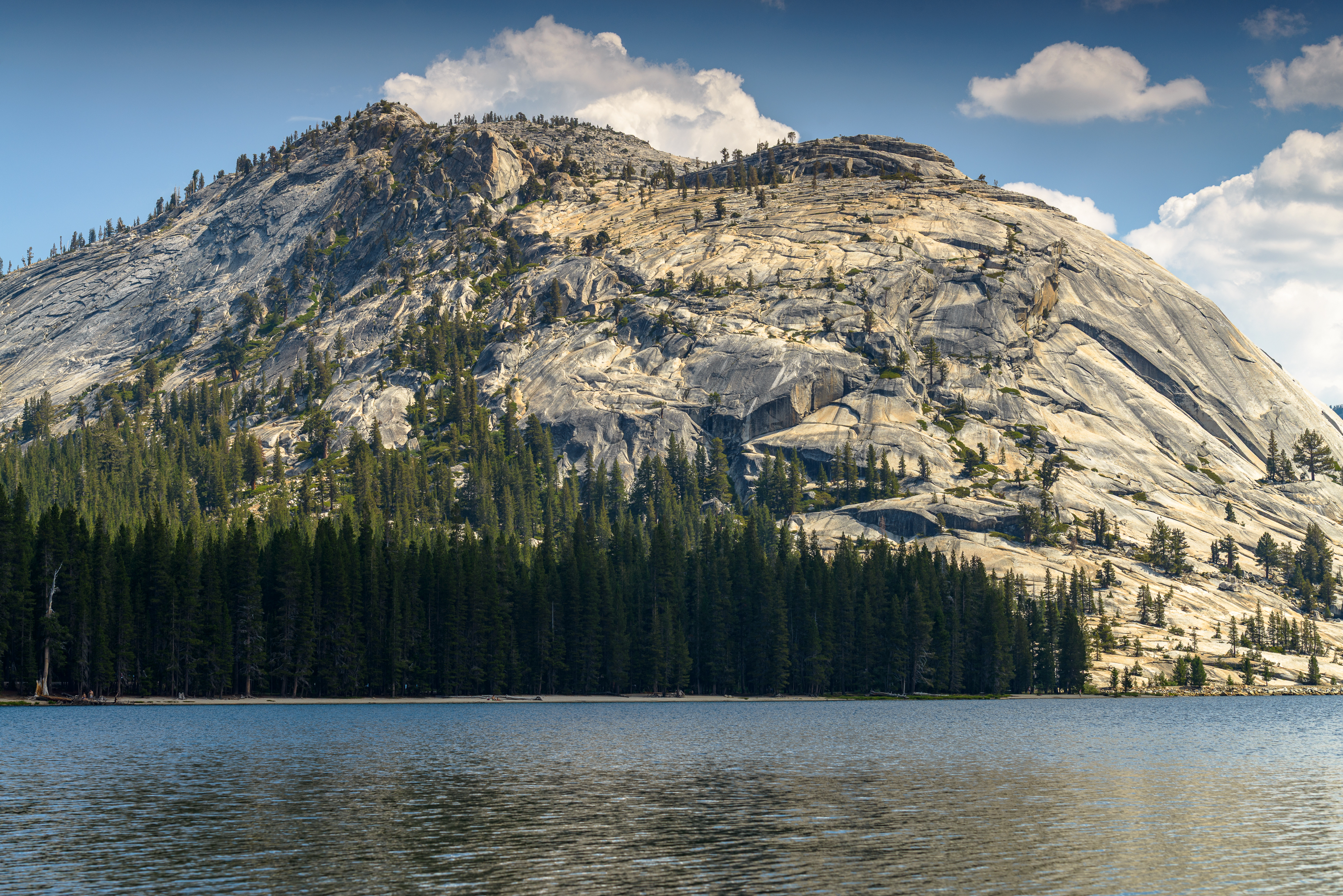 Le parc national de Yosemite, Sierra Nevada, à l'est de l'État de Californie.