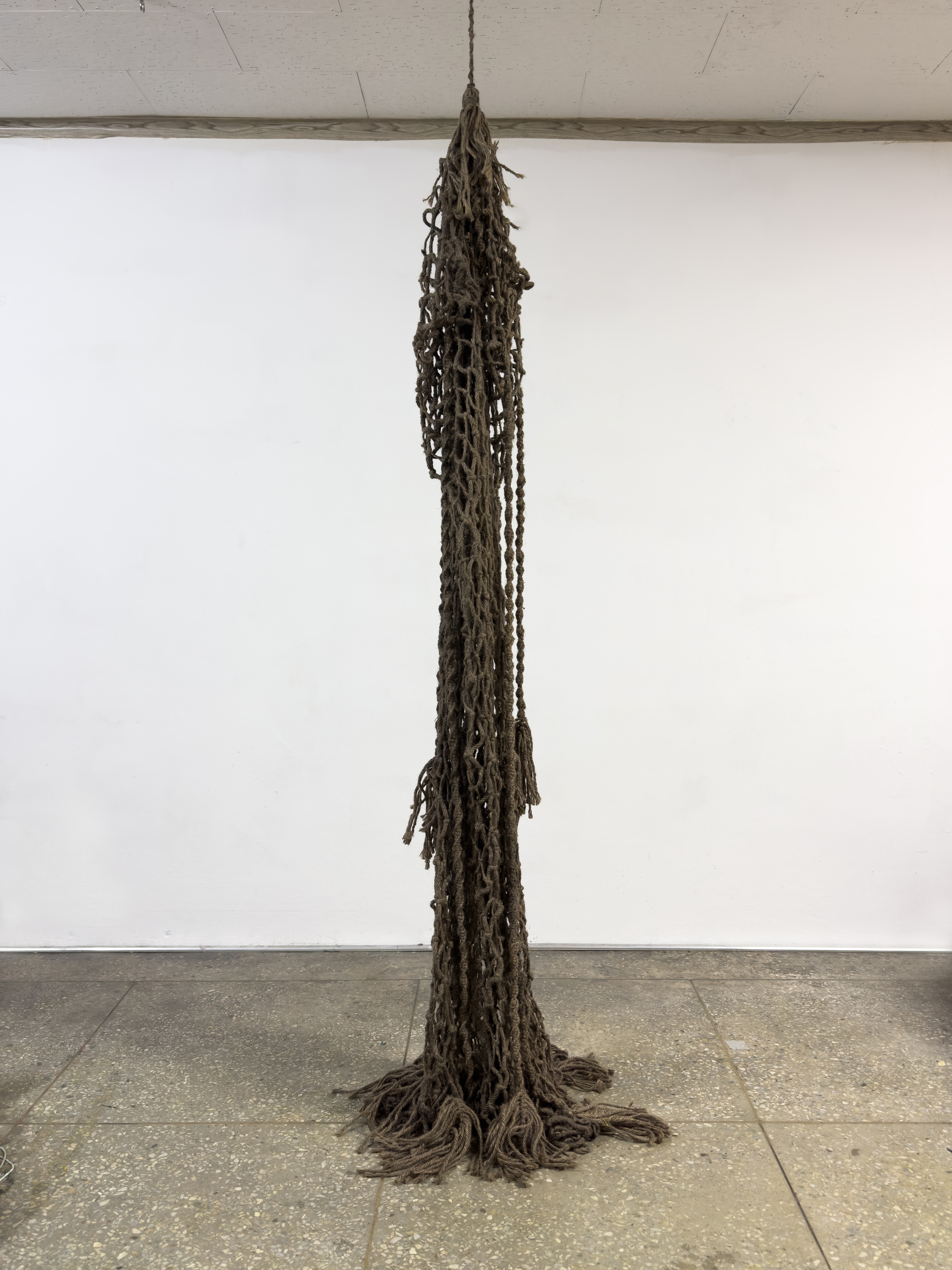 Net-leaf Winddance / 2025