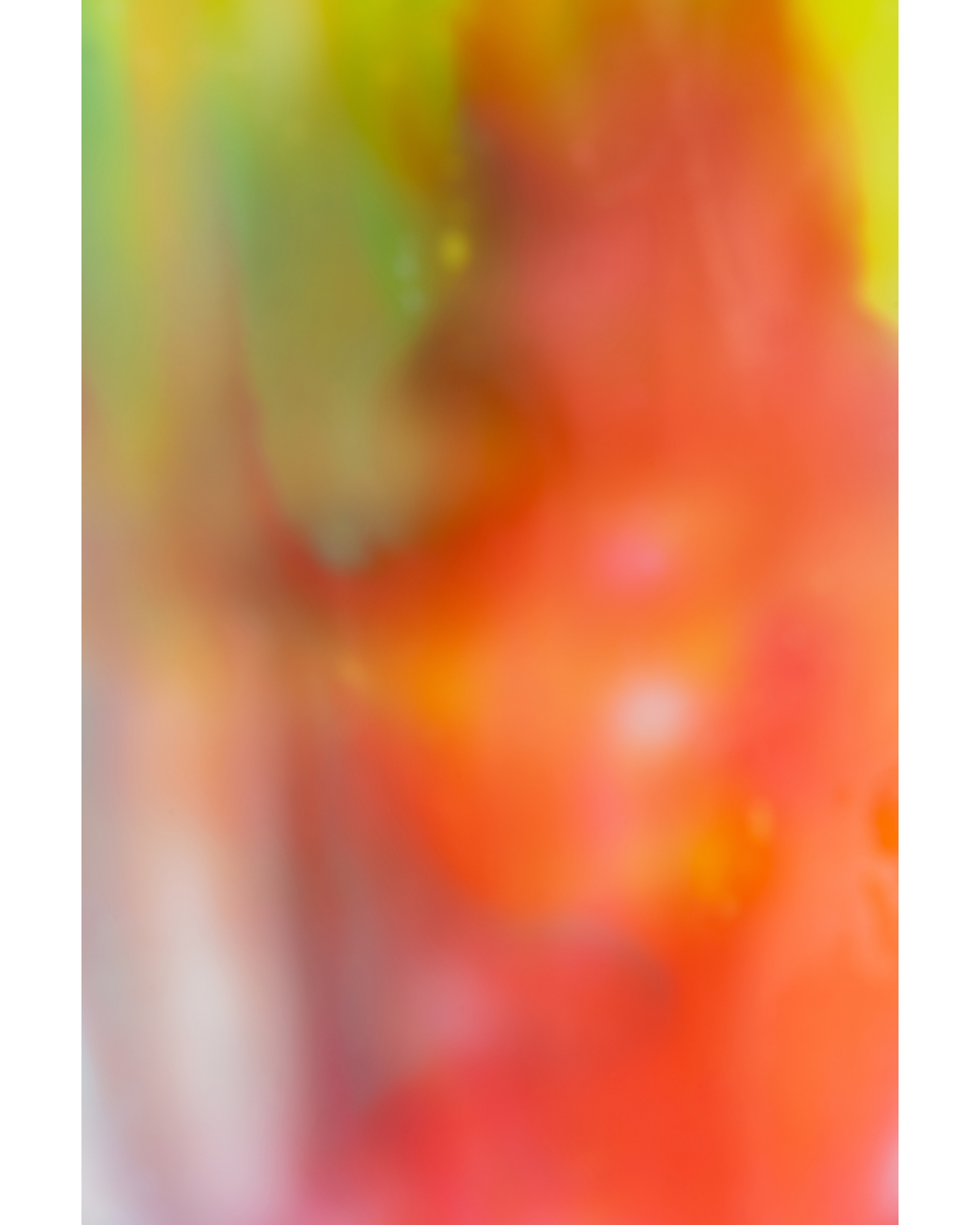 Creme V.1