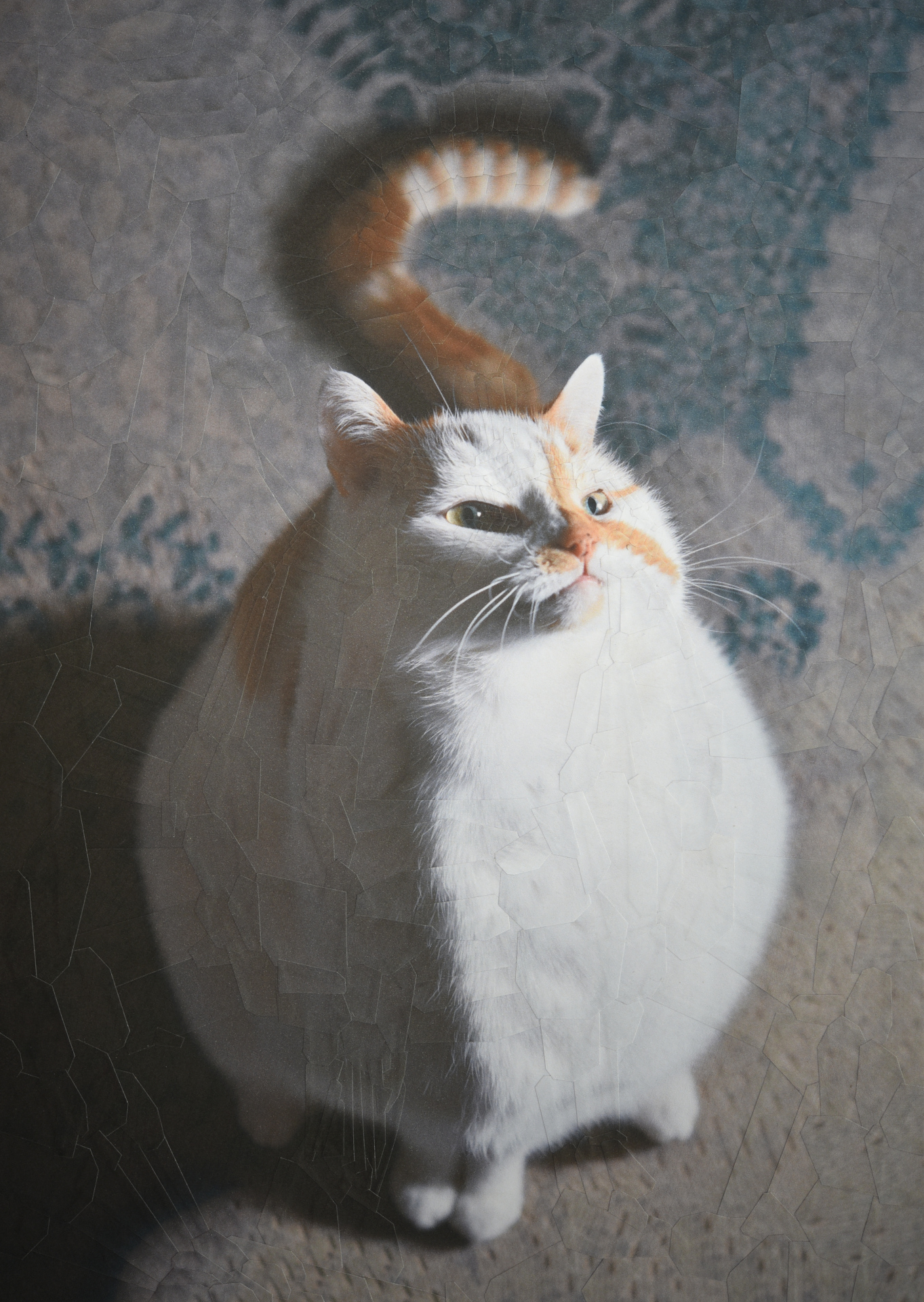 Charlie 32, 2021, 8.2 x 11.6 inches