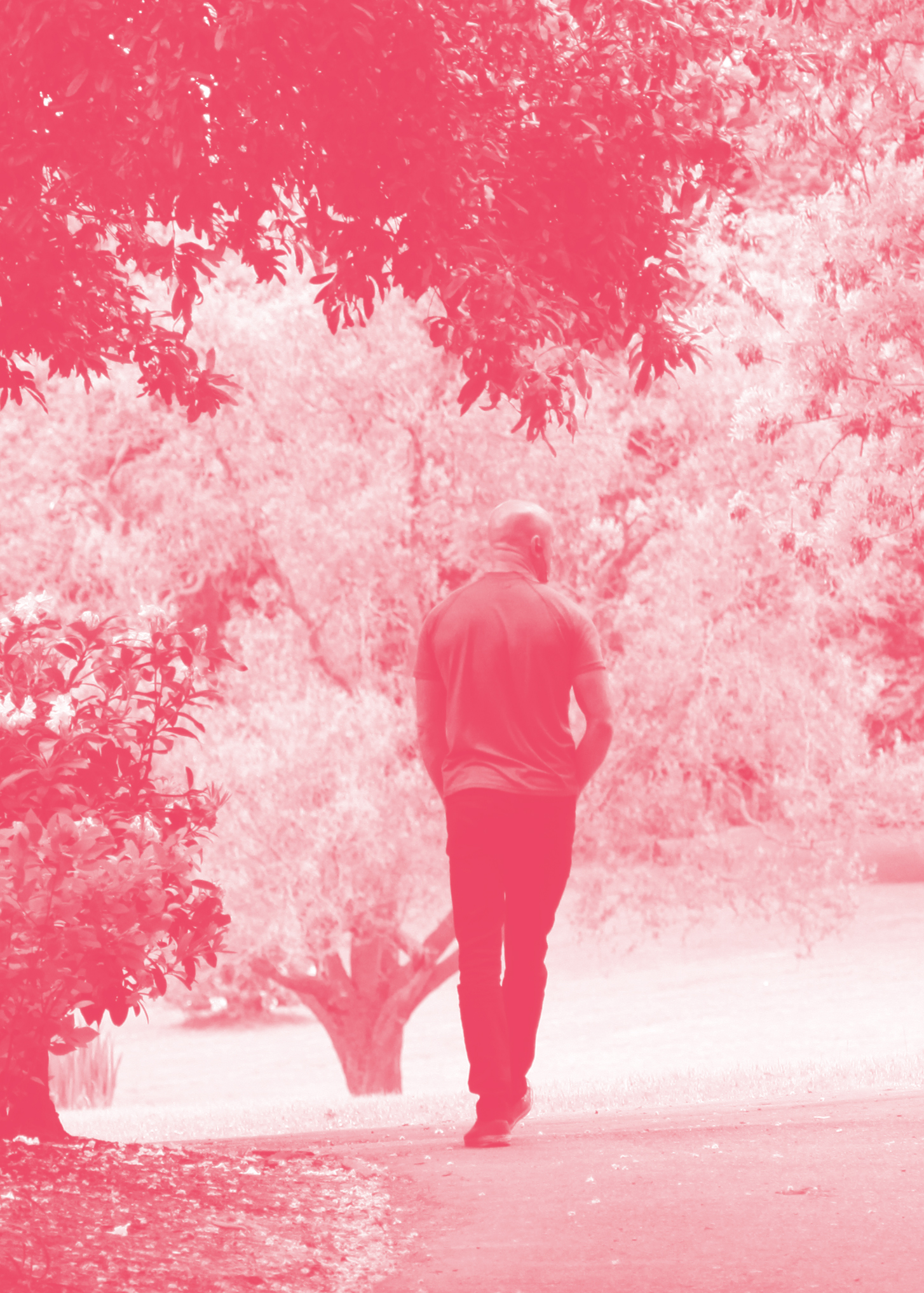 Trees Are Fags, 2018