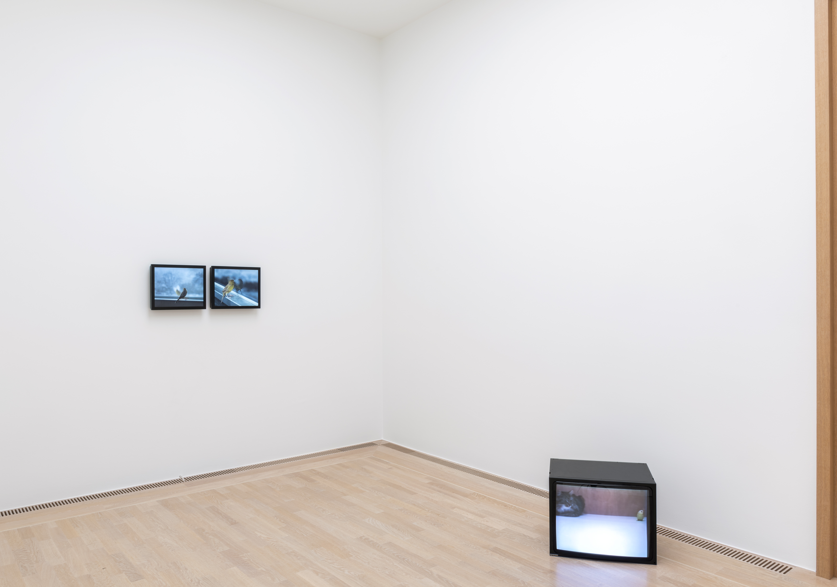 Städtische Galerie im Lenbachhaus und Kunstbau München, 2023, photo: Simone Gänsheimer