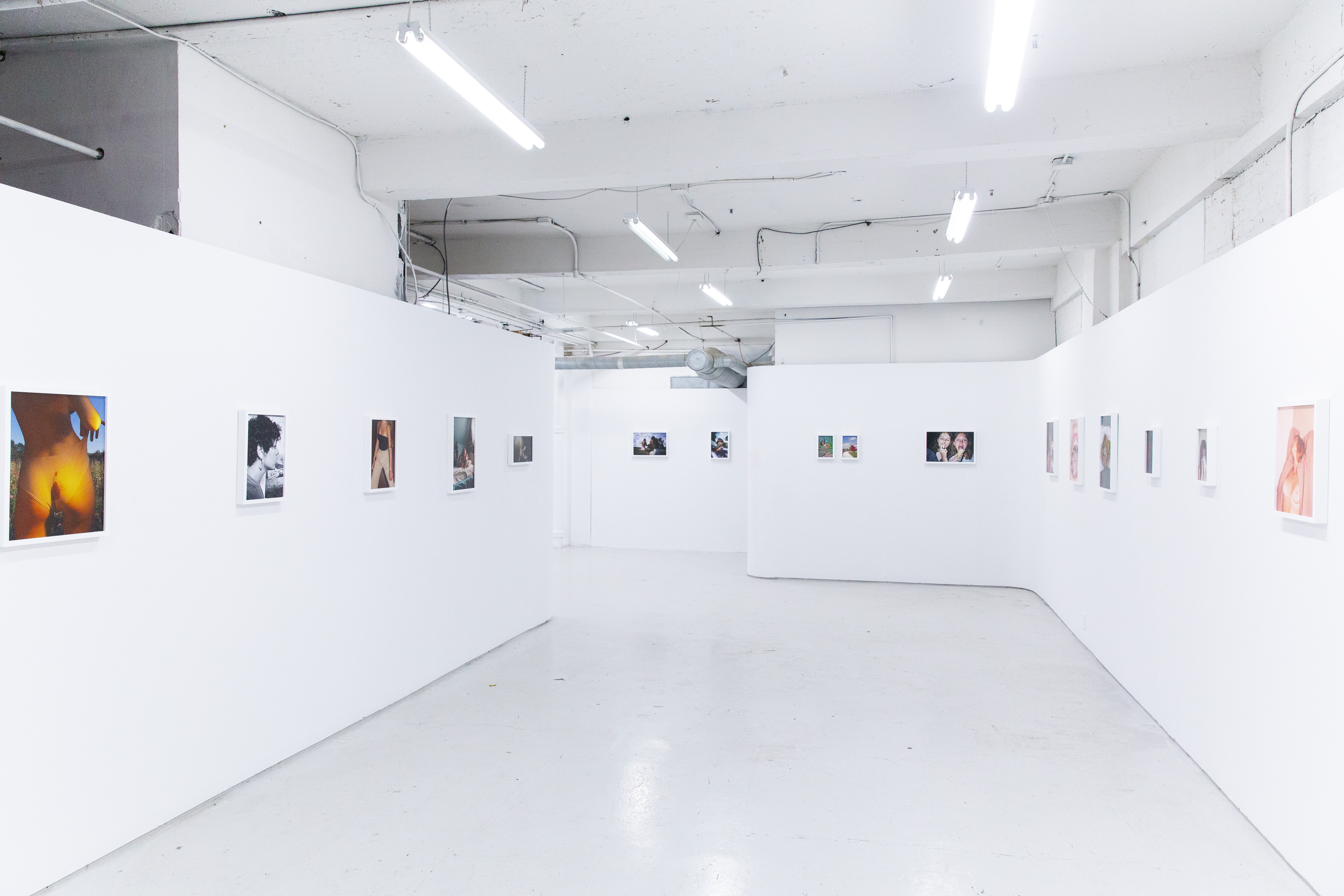 Honey Leg (Group Show) SkyLab Gallery Columbus, Ohio 2019