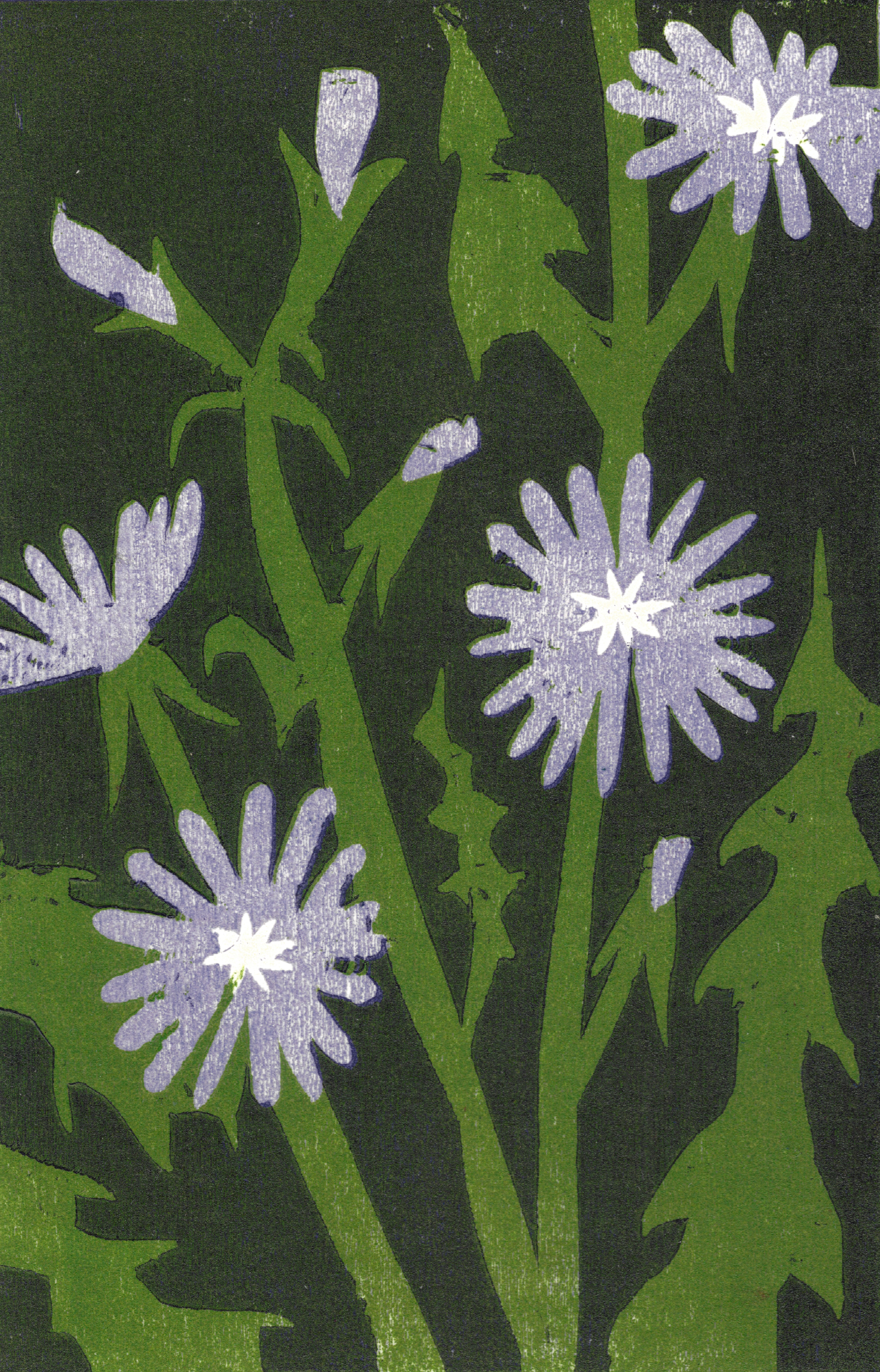 Chicory / three-layer reduction woodcut