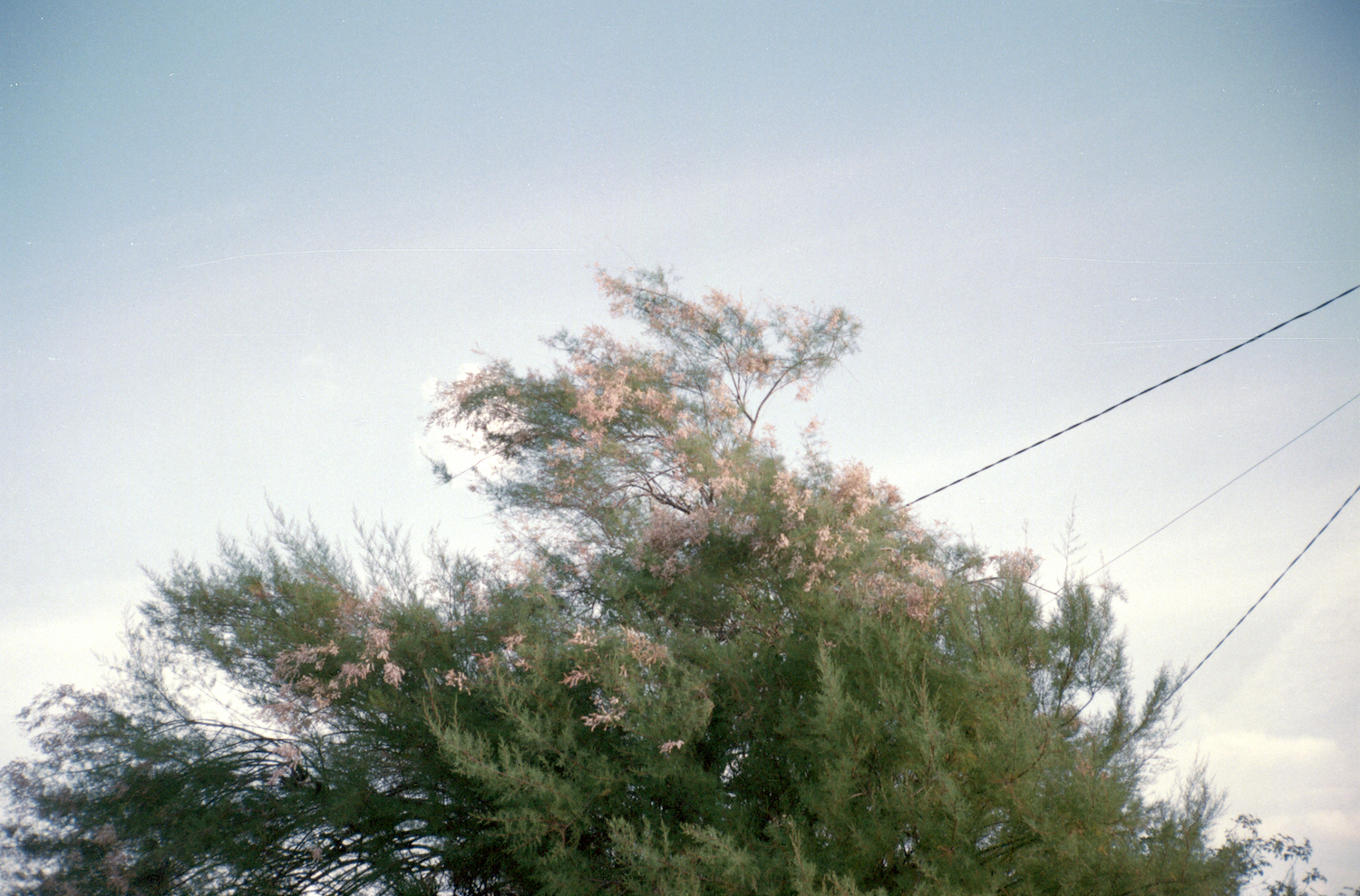 Eslam Abd El Salam, 35mm photograph from the series ‘Little Did I Know’, 2019–present. Image courtesy of the artist.