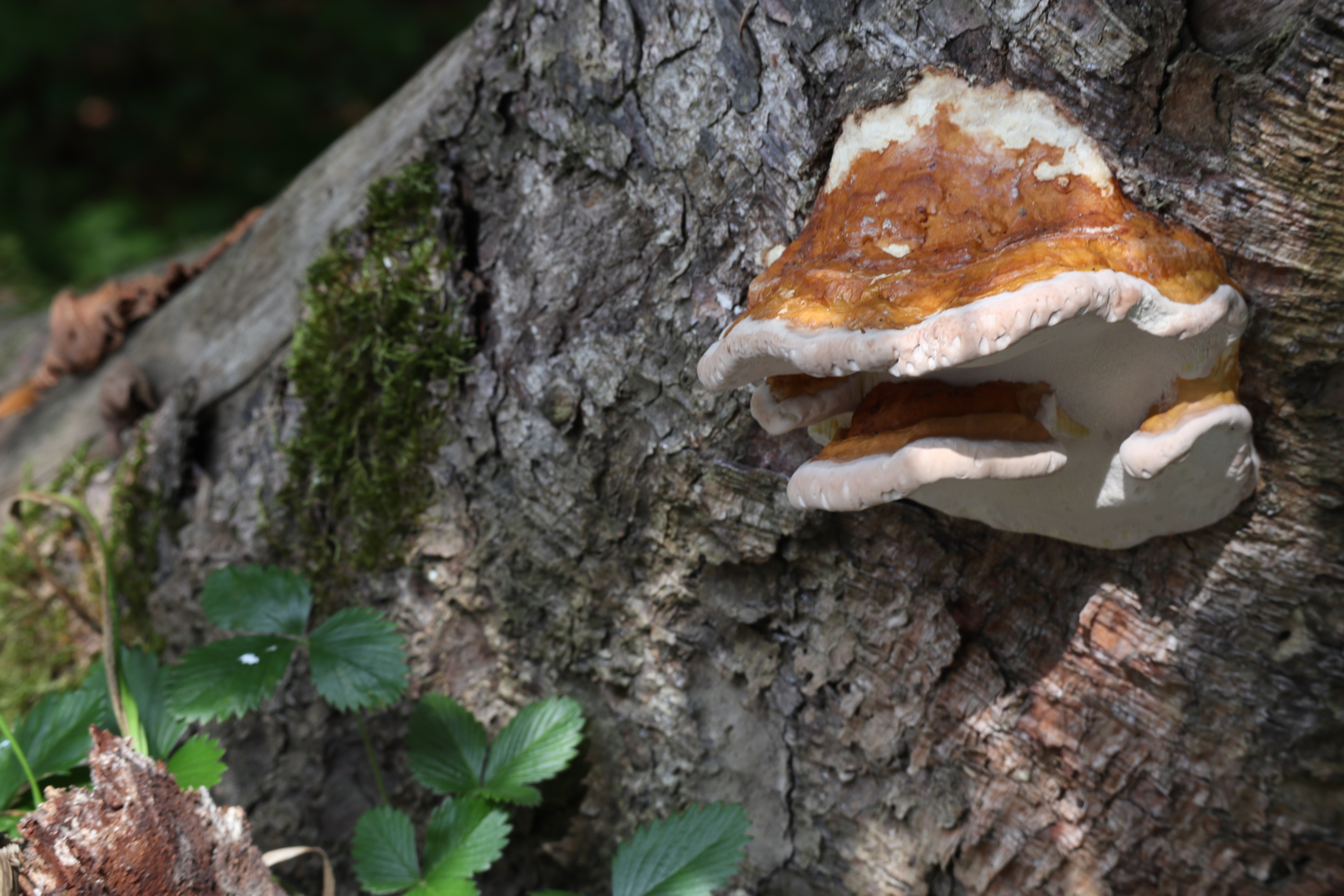 Geben und Nehmen im Einklang mit der Natur