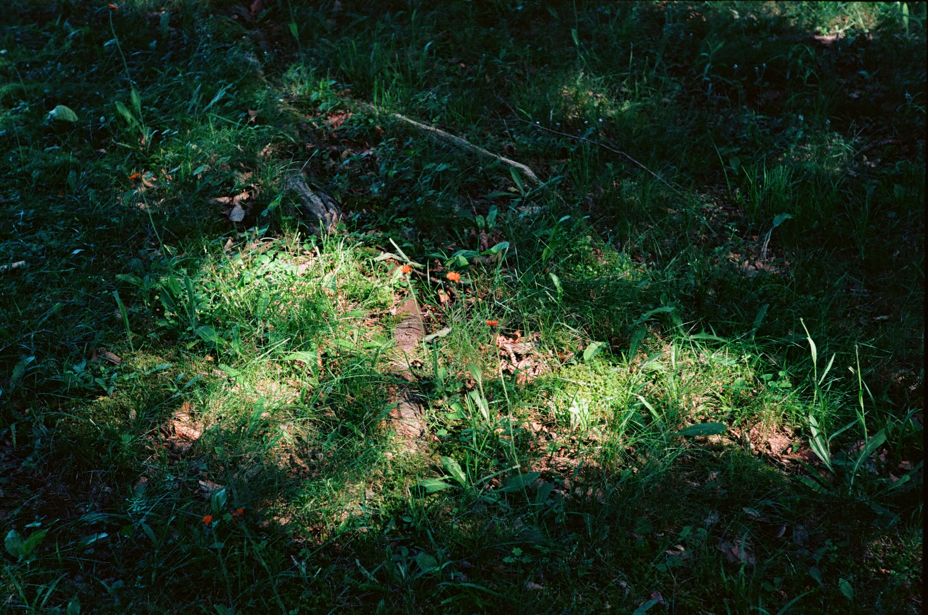 Versions of That Fear (2022), for piano and electronics. Miles Walter, piano