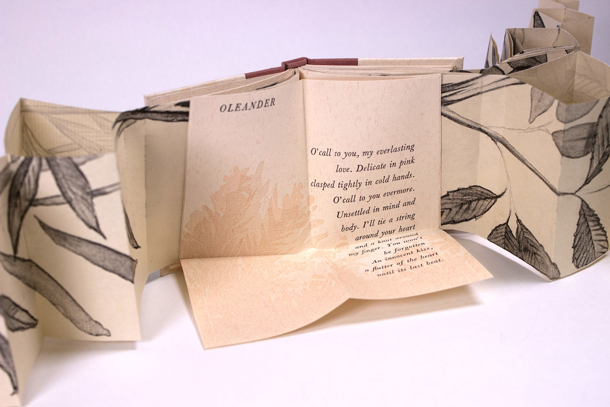 Flora Fatalis (detail) - 2020 - Case bound artist book, lithographs on mulberry paper, reduction linoleum, handset type - 3.2” x 14” x 11” (open)