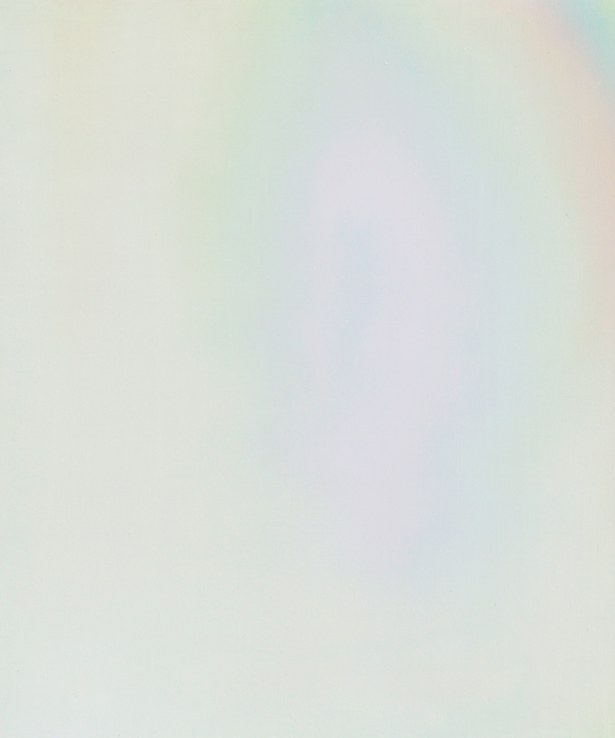 untitled, oil on aluminium, 110 x 90 cm, 2017