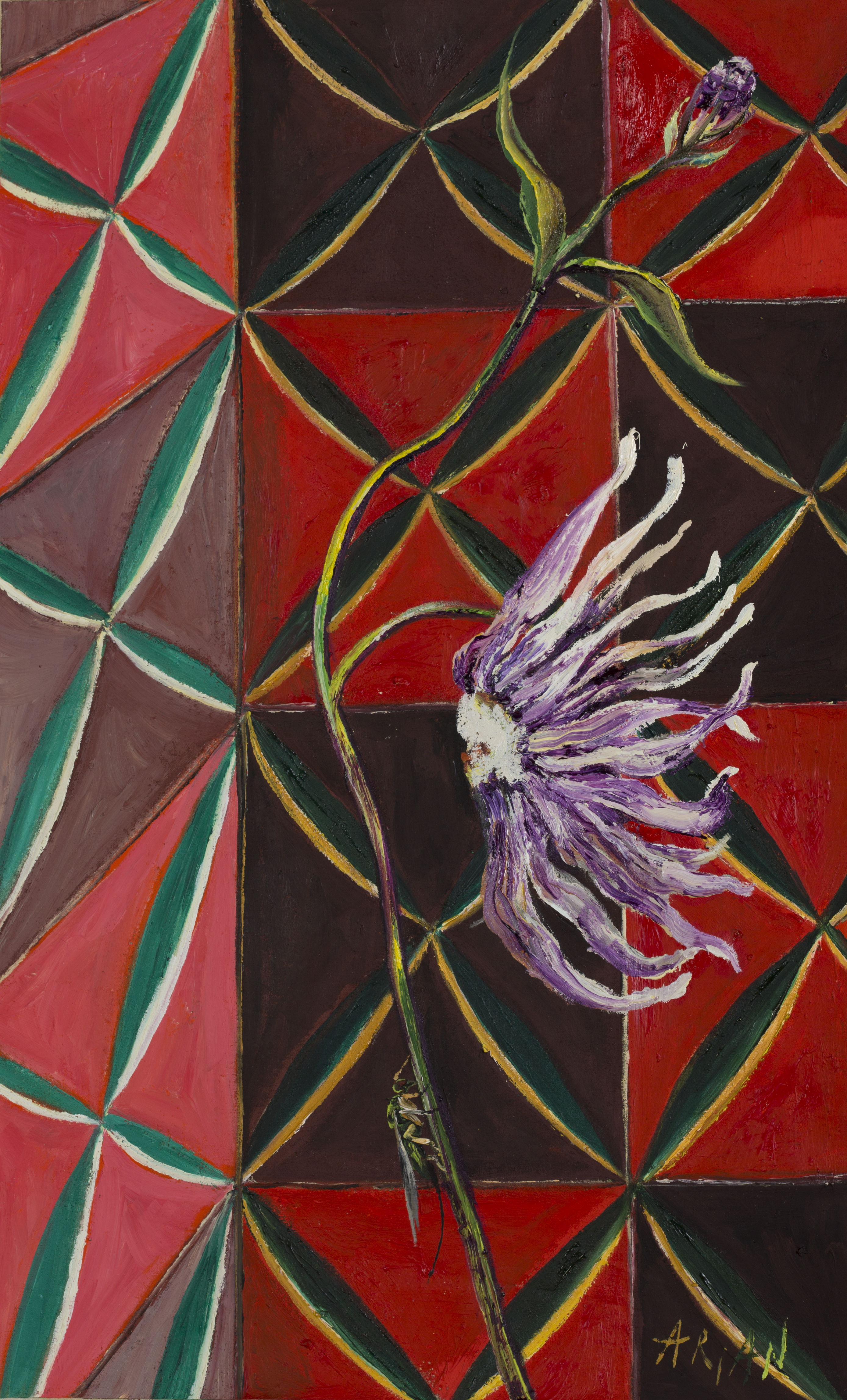 Insecte Malikian