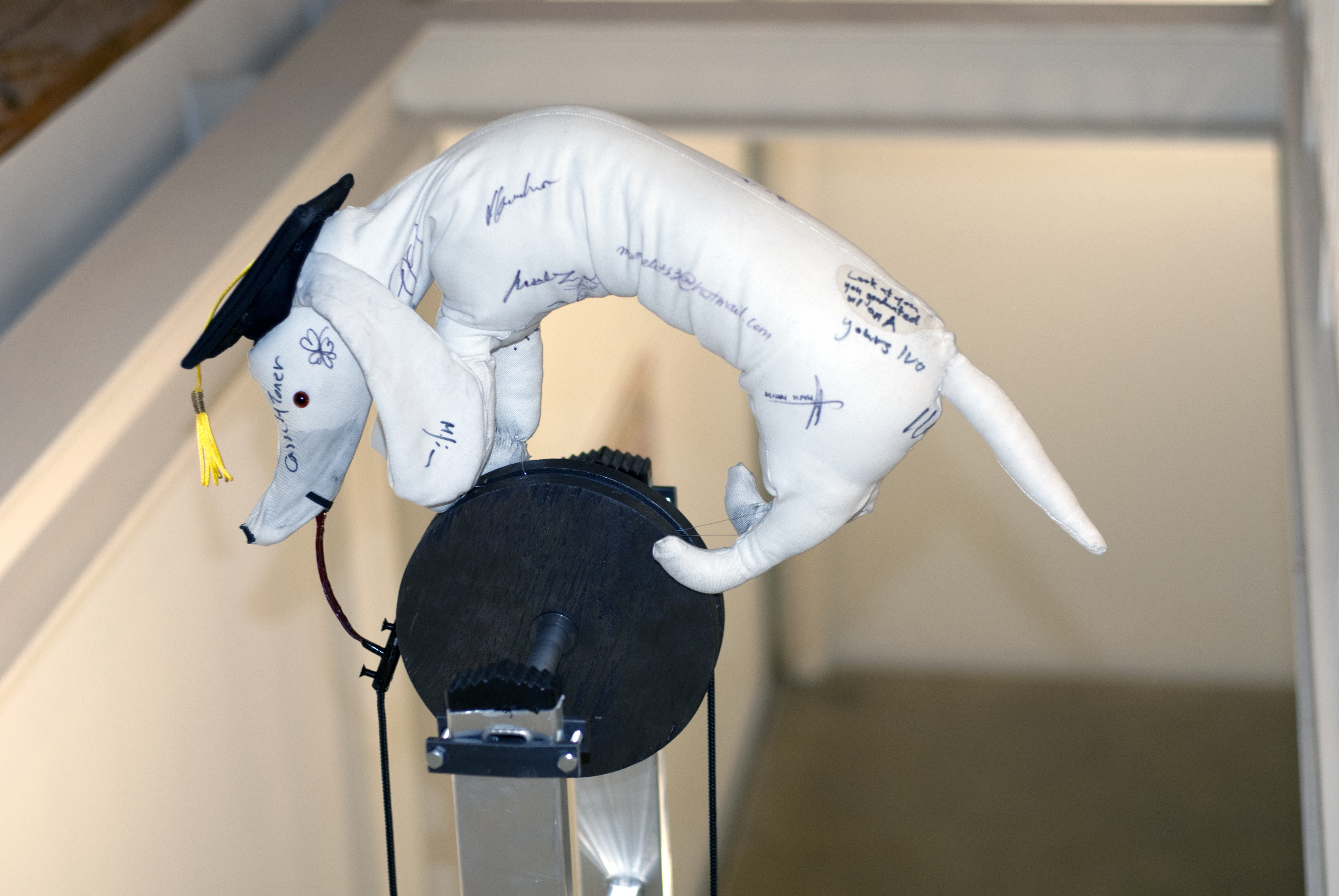 You meet the same people going up the ladder that you do going down. Did you hear me Vanna? I said, “In medieval philosophy the Wheel of Fortune is a symbol of the capricious nature of Fate.”