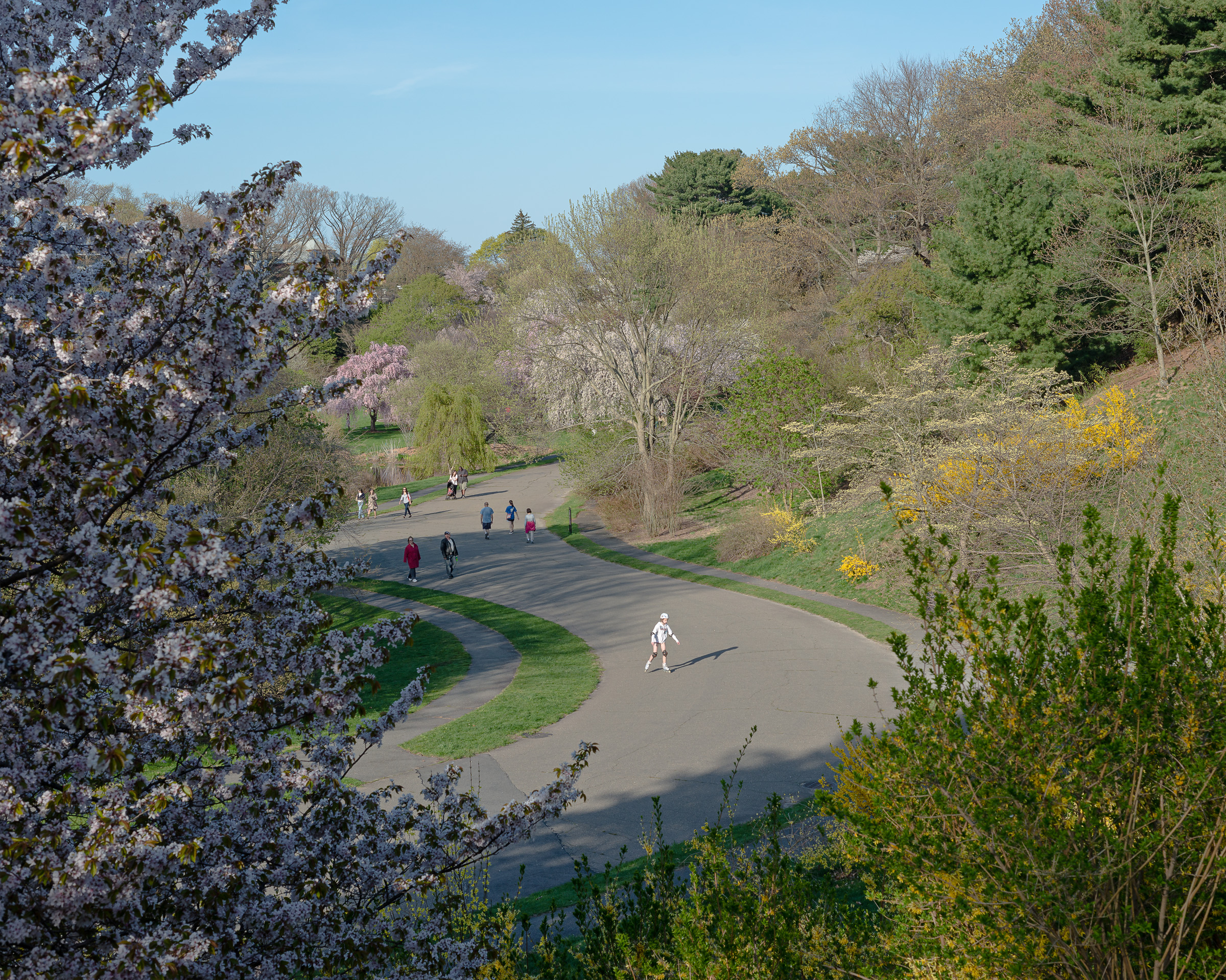 "The Skater"40"x50" archival inkjet print