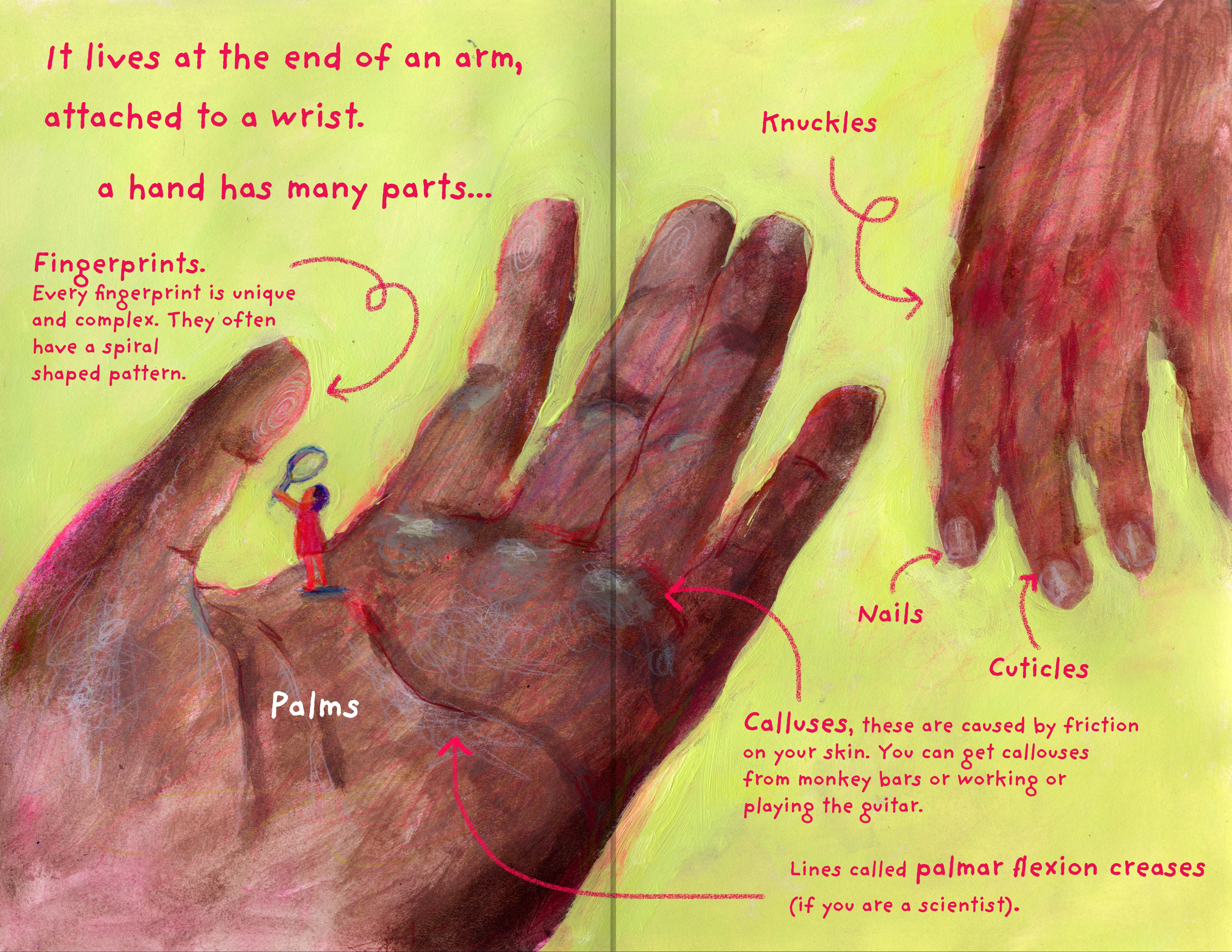 The Hand Book by Lucinda Drake