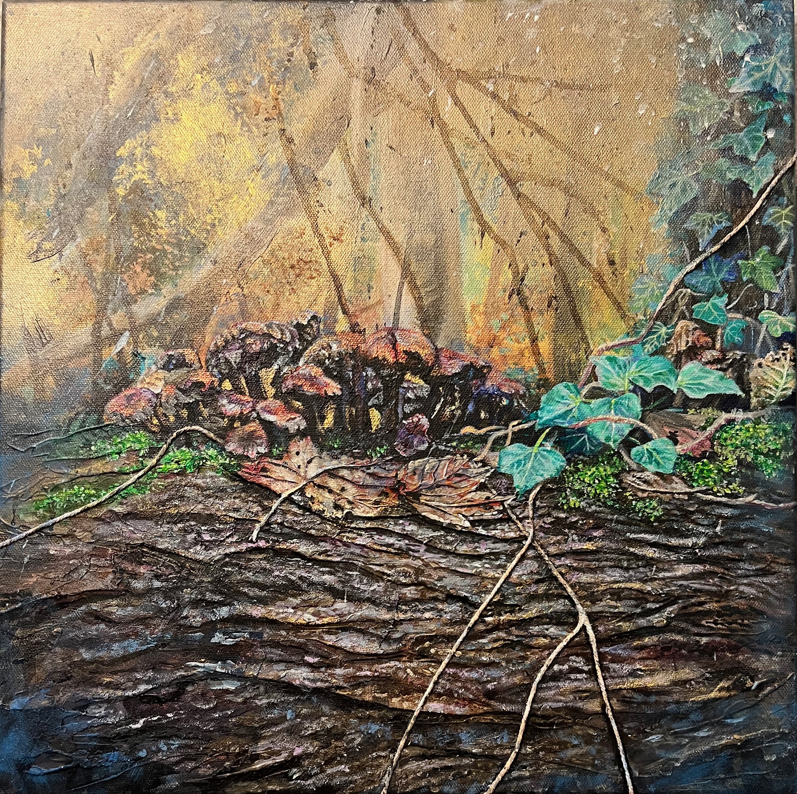 AutumnLog(2024)ZoëRoberts