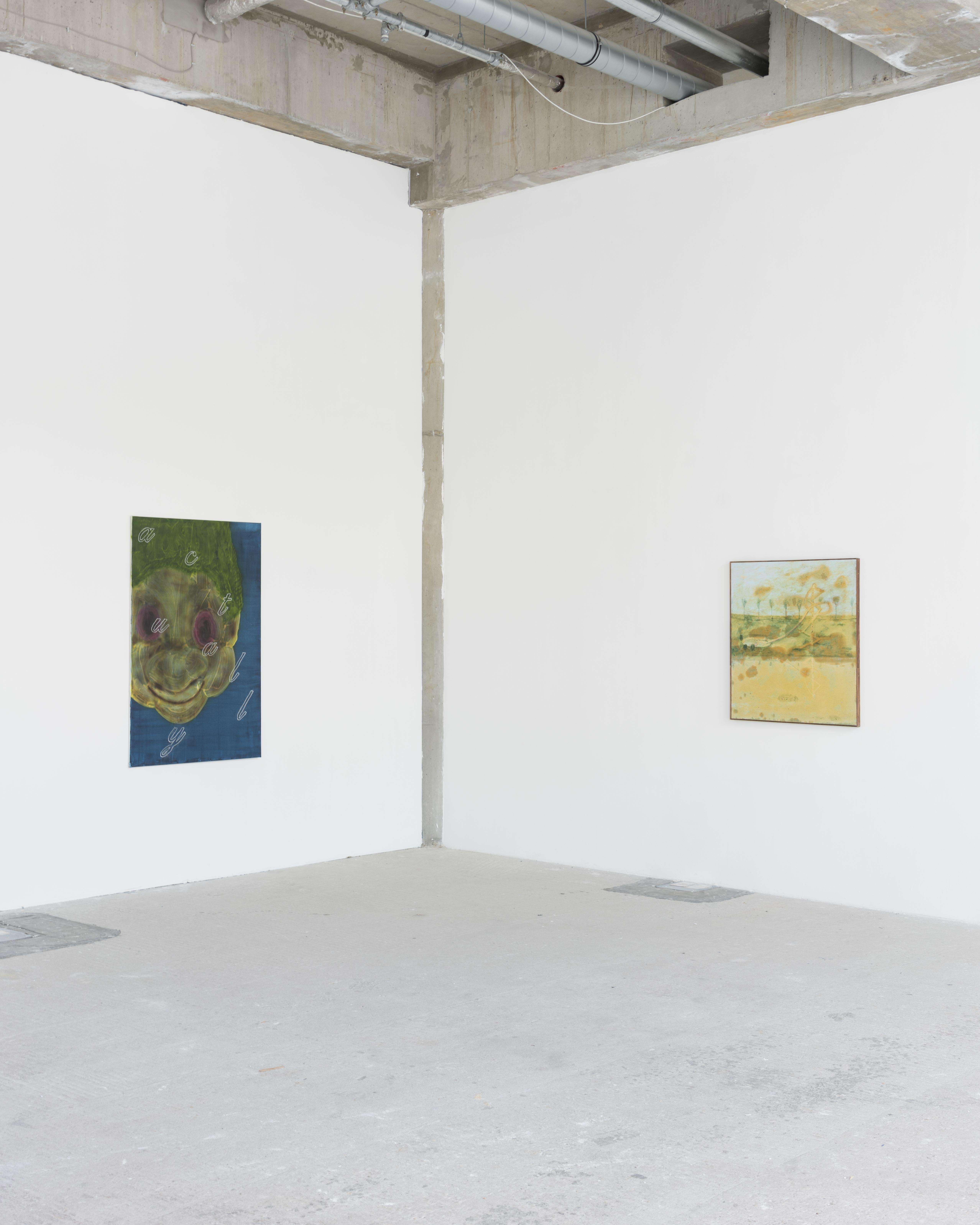 Installation view
