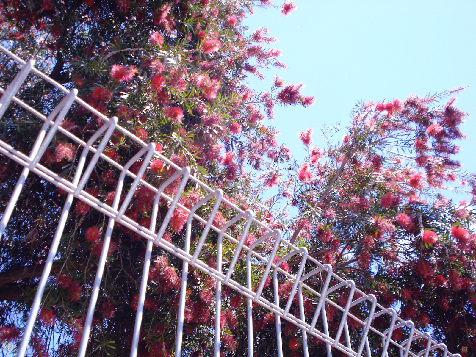 Glenrowan, Australia