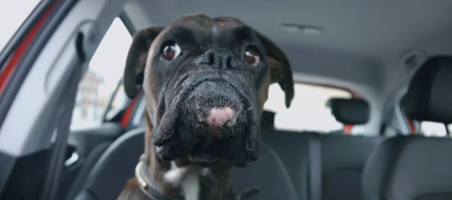 Vauxhall / ParallelBarking - Social Buzz Winner, 2xDMA, EMEA Sabre, 