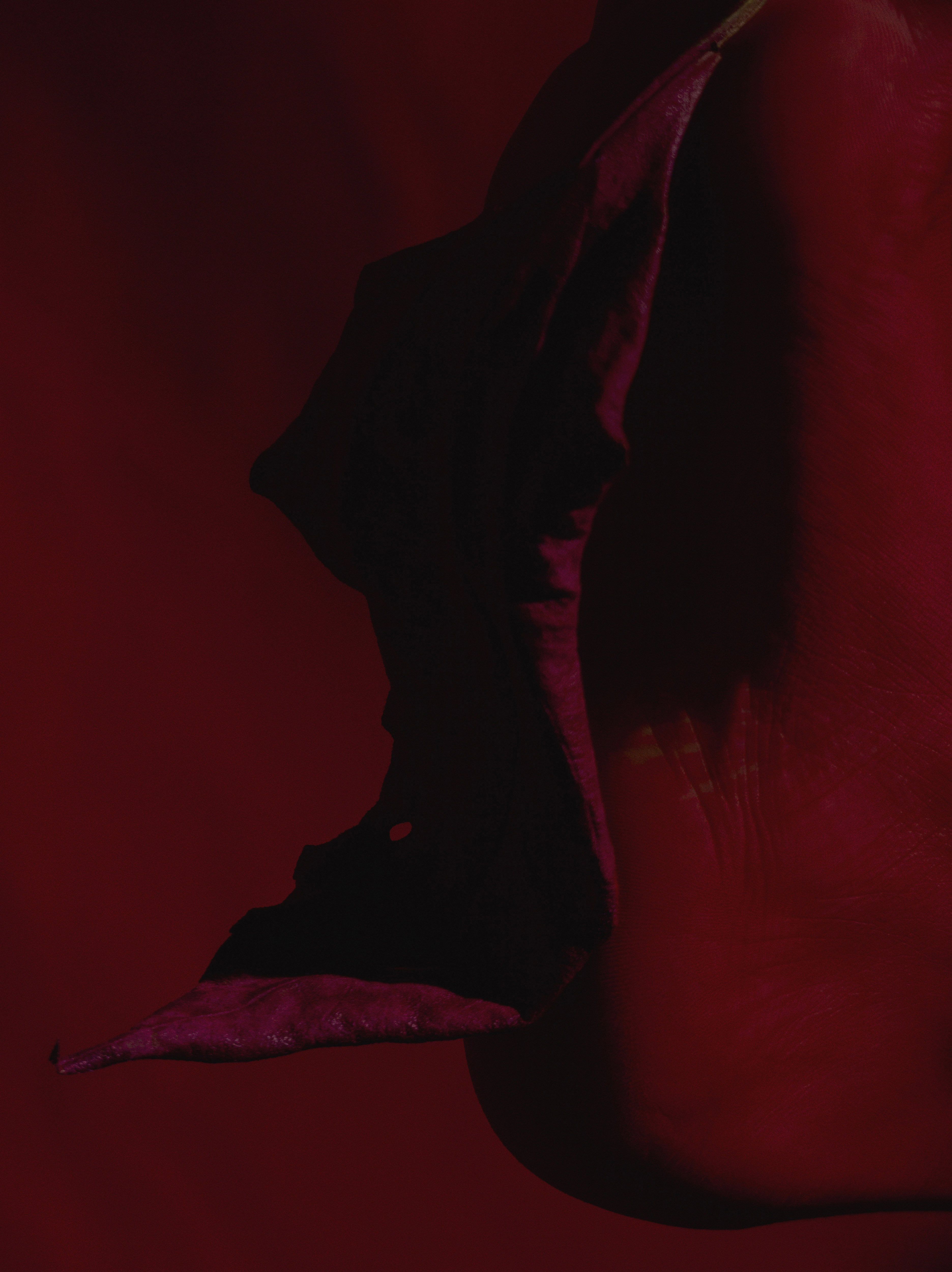 Spasmo, 2019 - 60&times;45cm - Ed.5