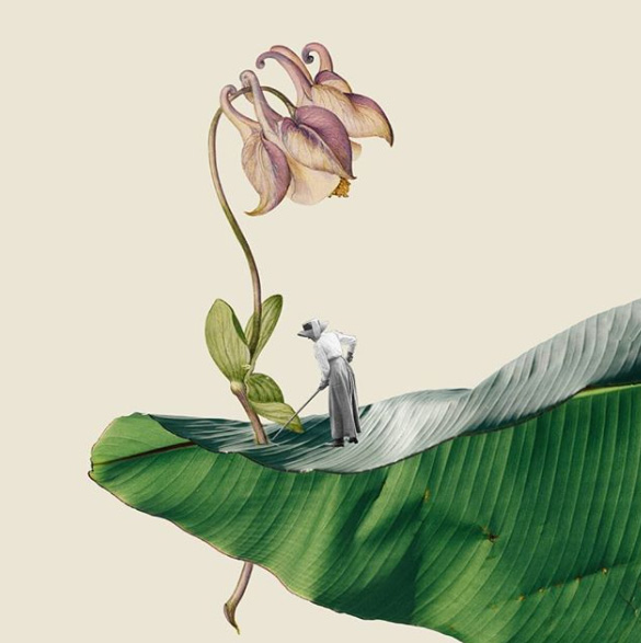 Patricia Mastroberti