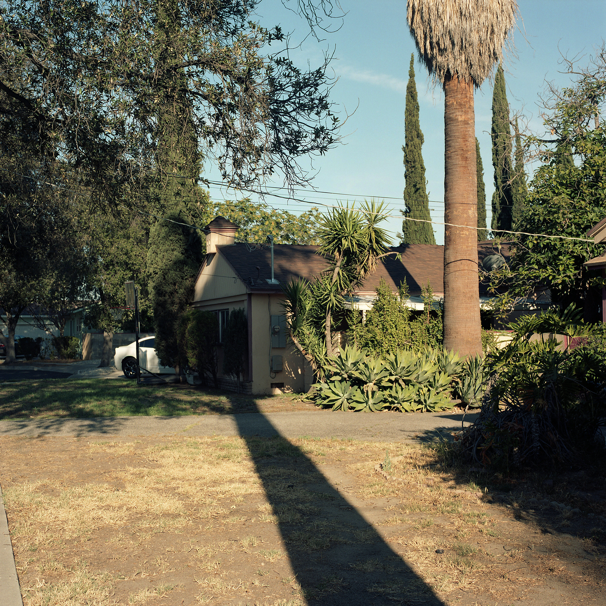 Long Shadow, Big Shadow, Los Angeles, CA, 2016