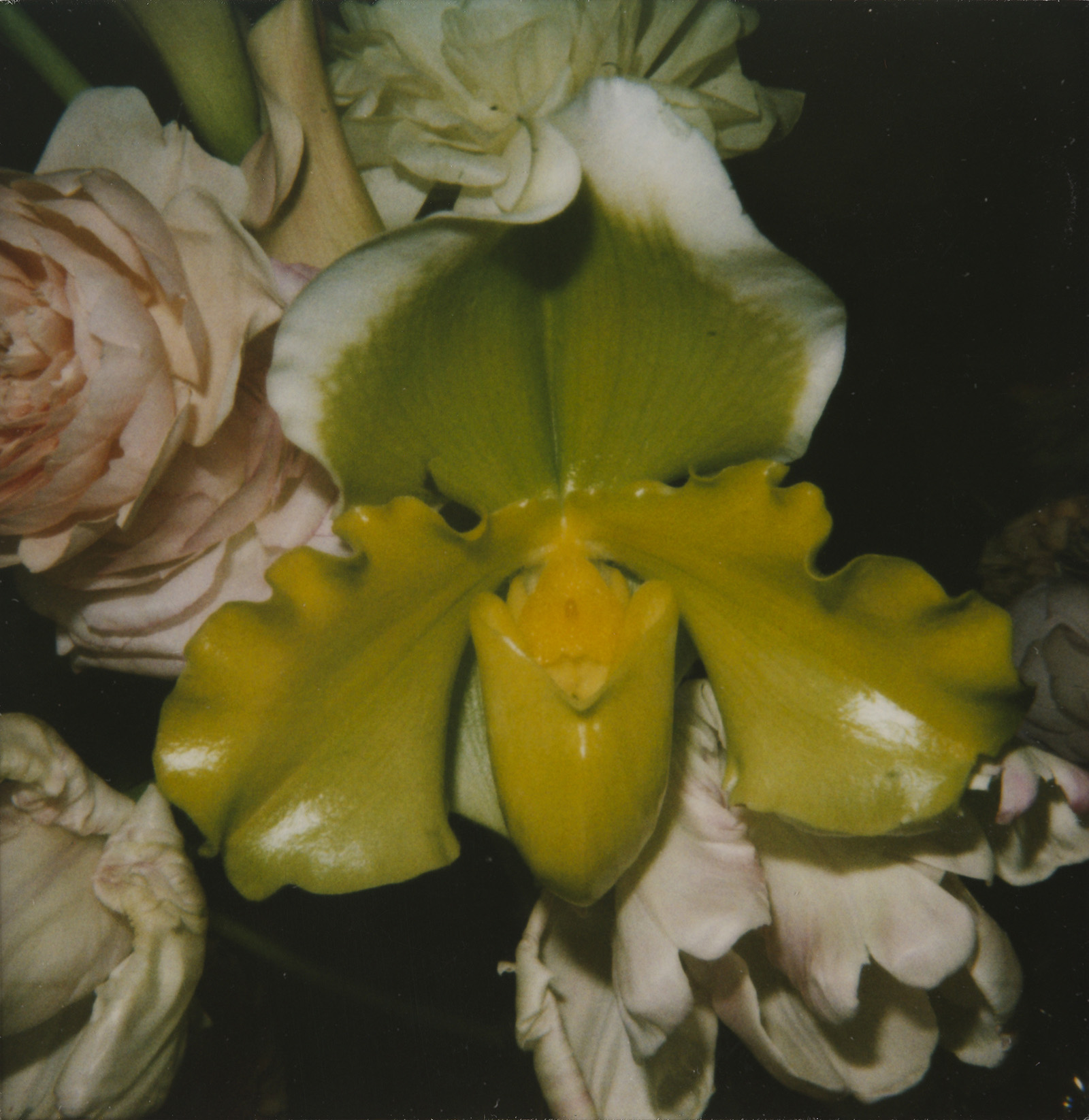 Nobuyoshi ARAKI, 1990-2024 Sans titre © Musée Guimet, Paris Photo de Nicolas Fussler