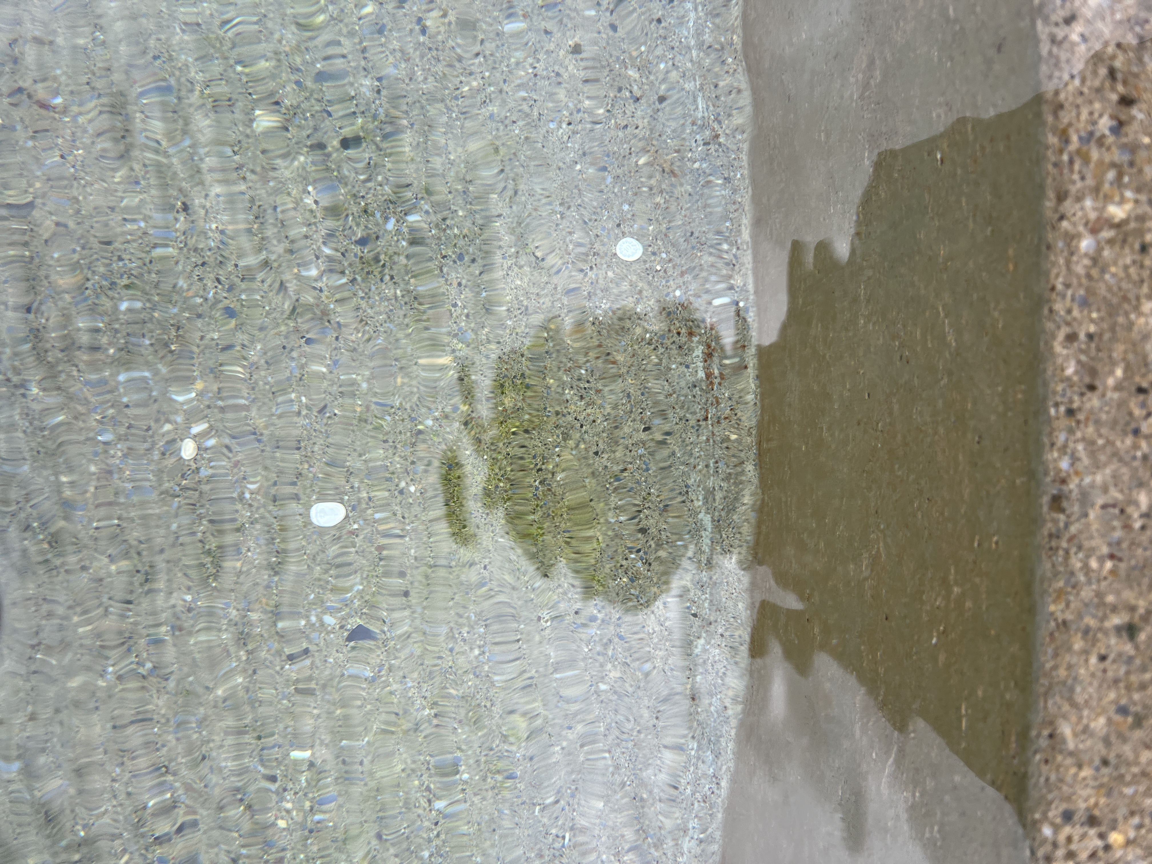 Self-Portrait, Michelle Henseler, Winterthur 2025