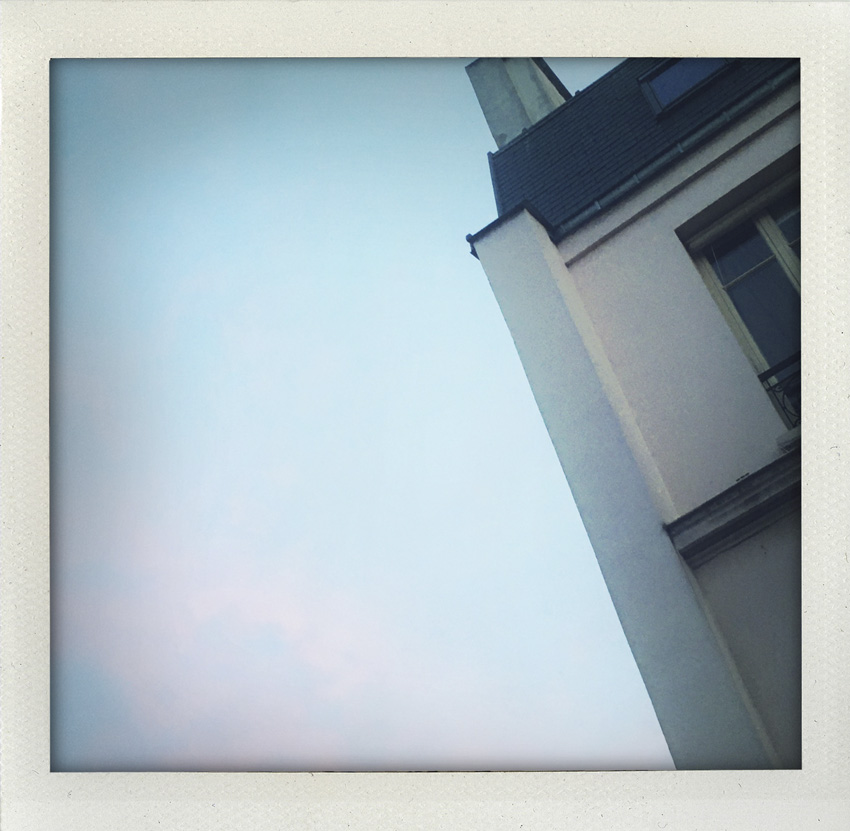 21 Avril 2020 Rose discret