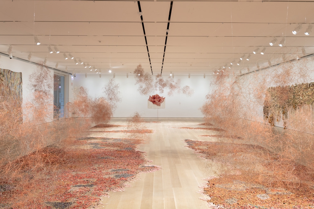 Installation view, Igshaan Adams: Desire Lines, April 2-August 1, 2022, The Art Institute of Chicago