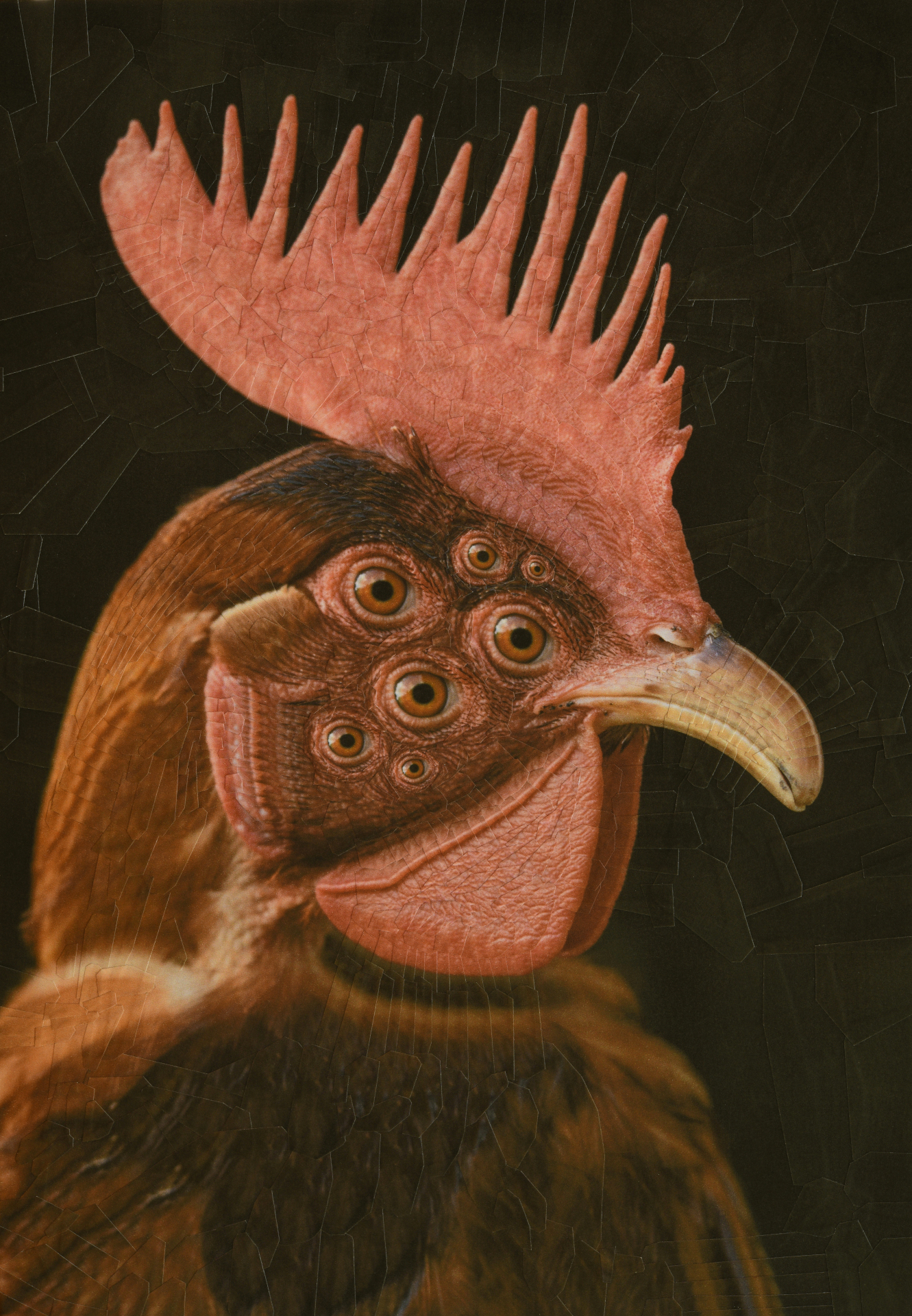 Pythagoras, 2022, 8.2 x 11.6 inches