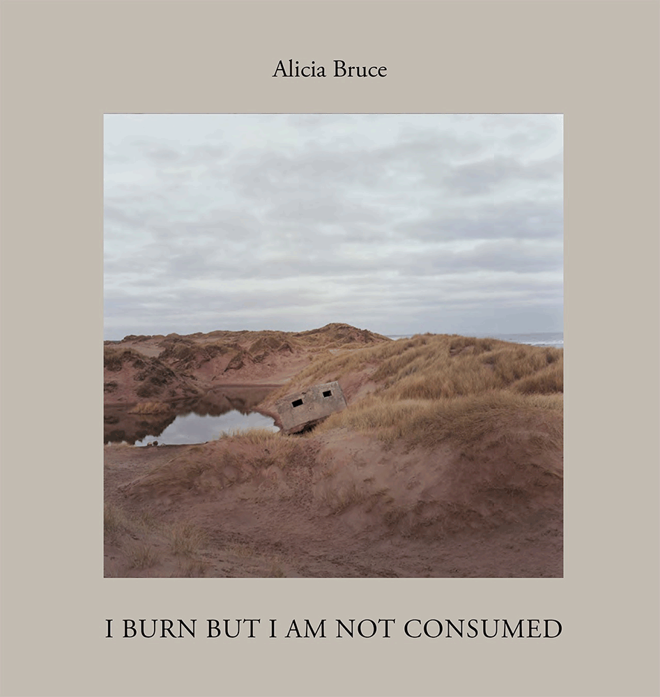 I Burn But I Am Not Consumed by Alicia Bruce